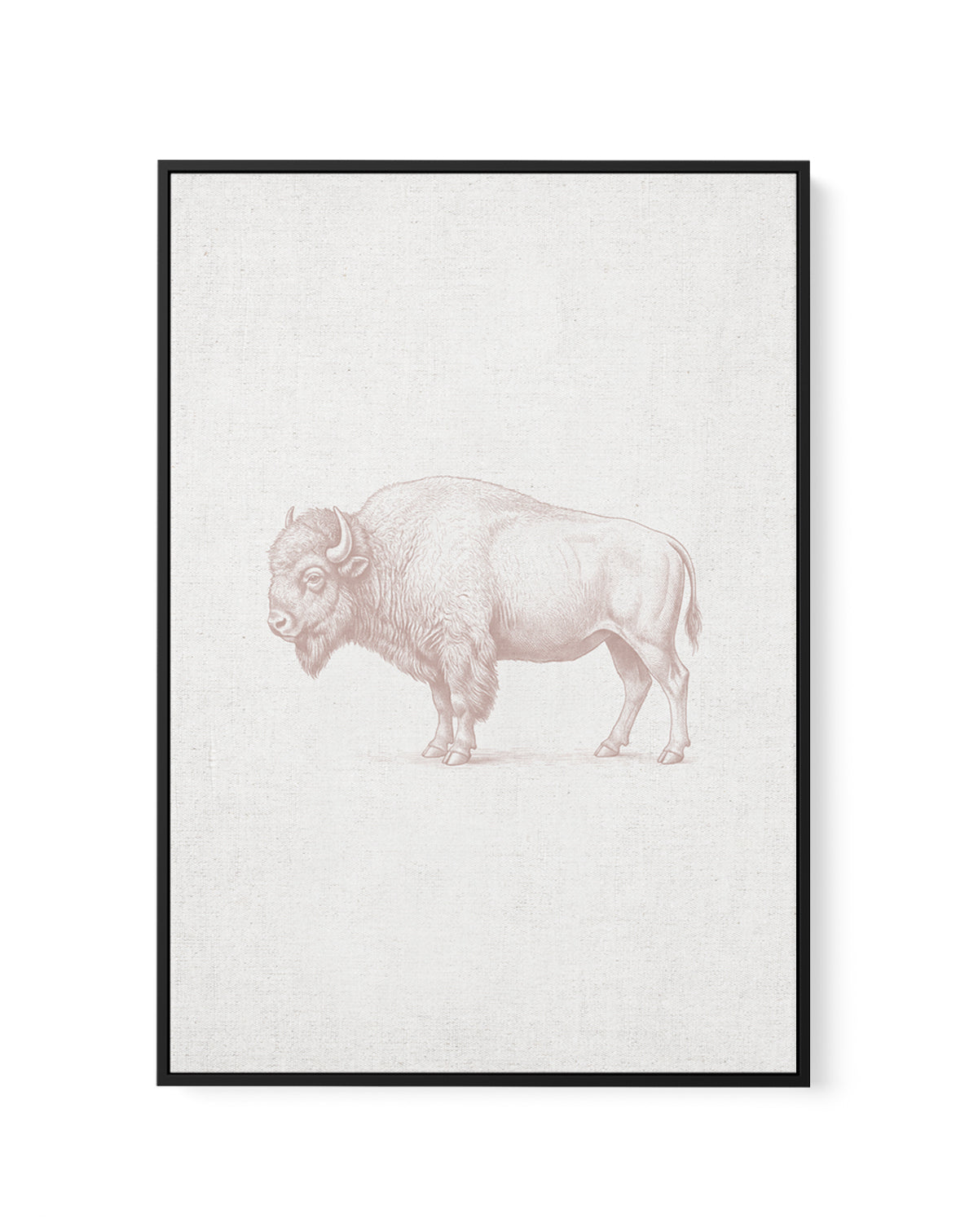 Vintage Bison Farm Animals on Linen | Framed Canvas Art Print