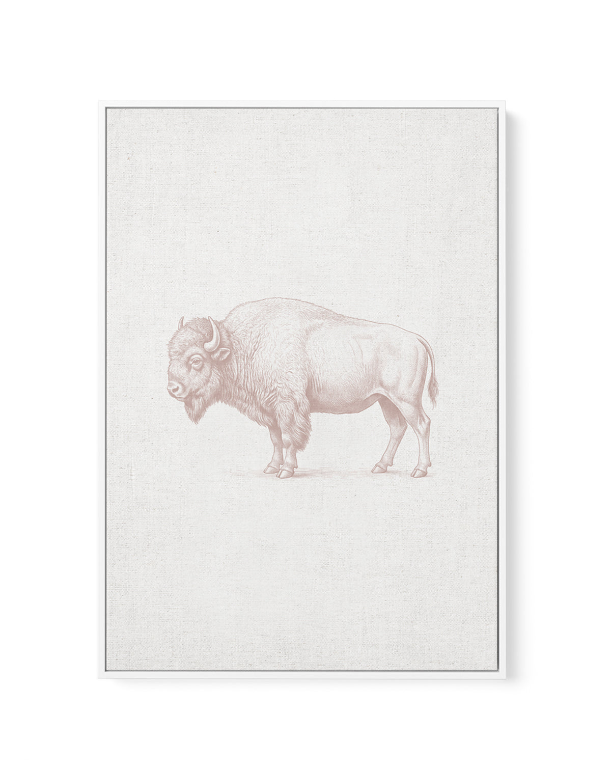 Vintage Bison Farm Animals on Linen | Framed Canvas Art Print
