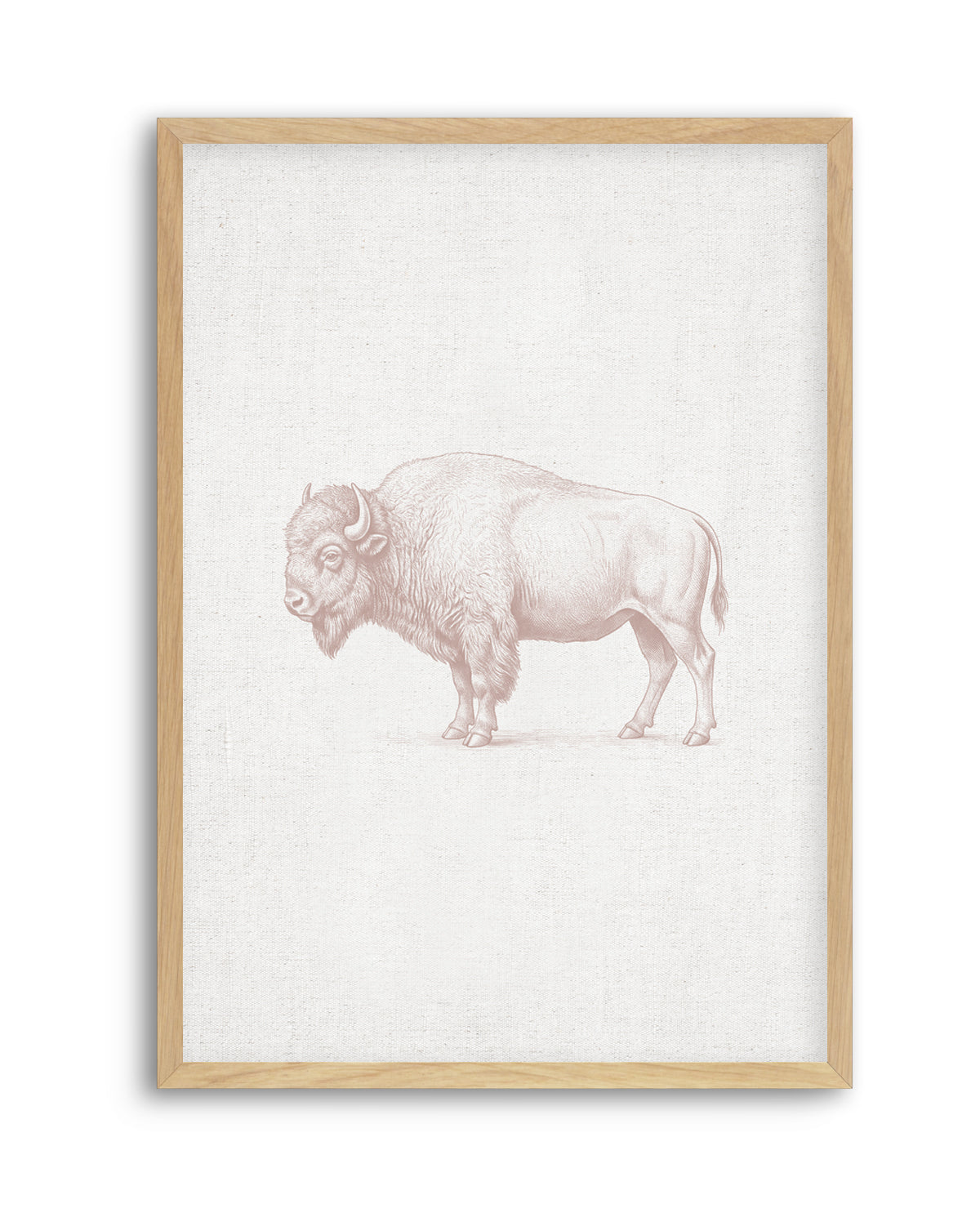 Vintage Bison Farm Animals on Linen | Art Print