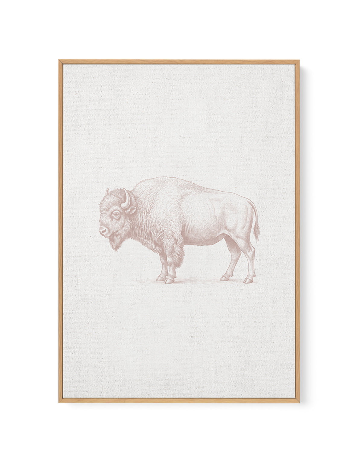 Vintage Bison Farm Animals on Linen | Framed Canvas Art Print