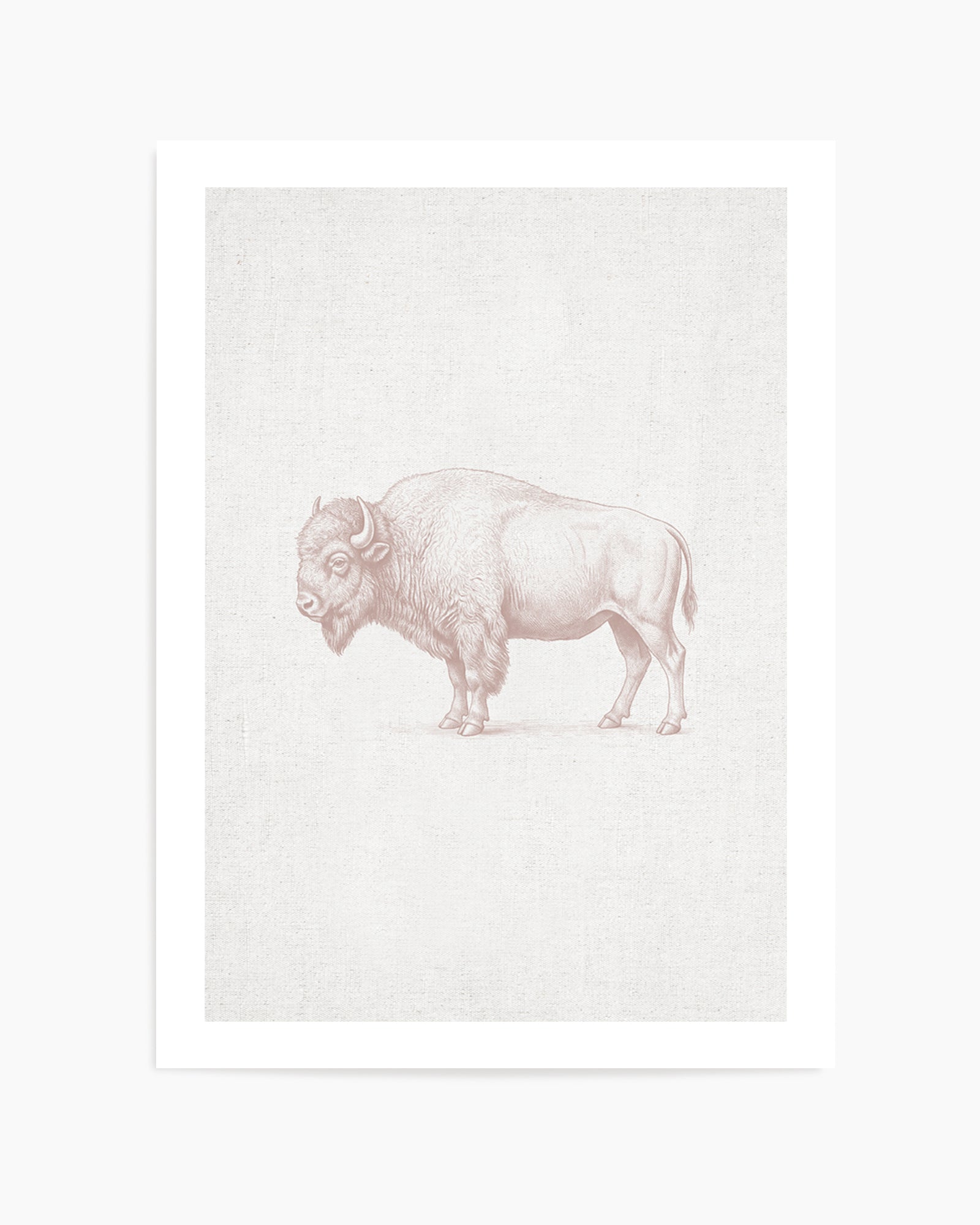 Vintage Bison Farm Animals on Linen | Art Print
