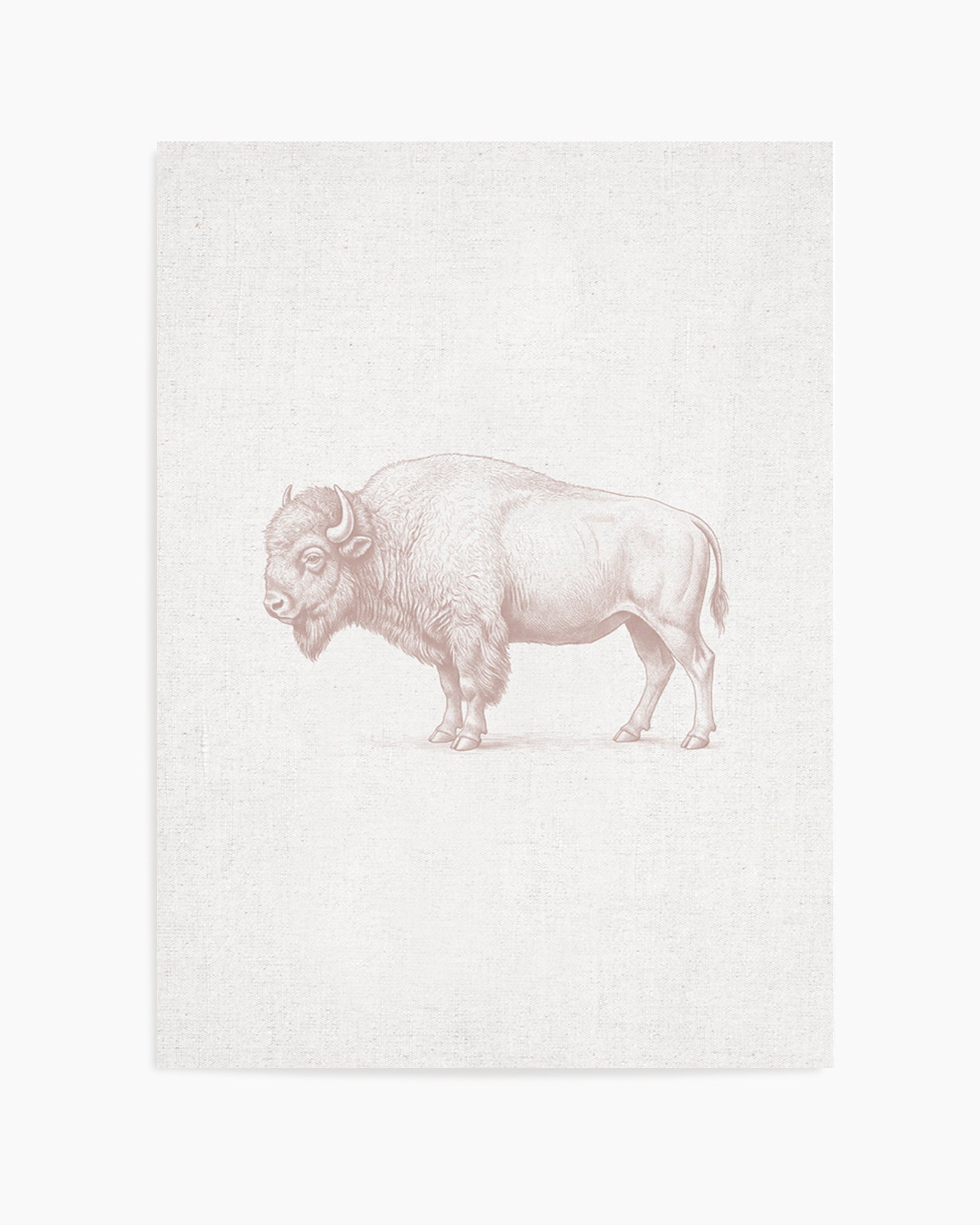 Vintage Bison Farm Animals on Linen | Art Print