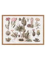 Vintage Cactus Chart Art Print
