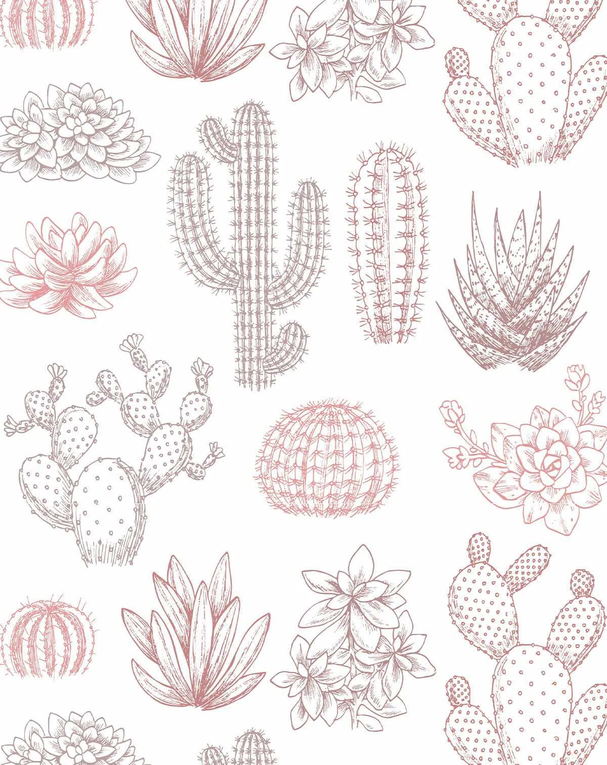 Vintage Cactus Garden Wallpaper-Wallpaper-Buy Kids Removable Wallpaper Online Our Custom Made Children√¢‚Ç¨‚Ñ¢s Wallpapers Are A Fun Way To Decorate And Enhance Boys Bedroom Decor And Girls Bedrooms They Are An Amazing Addition To Your Kids Bedroom Walls Our Collection of Kids Wallpaper Is Sure To Transform Your Kids Rooms Interior Style From Pink Wallpaper To Dinosaur Wallpaper Even Marble Wallpapers For Teen Boys Shop Peel And Stick Wallpaper Online Today With Olive et Oriel