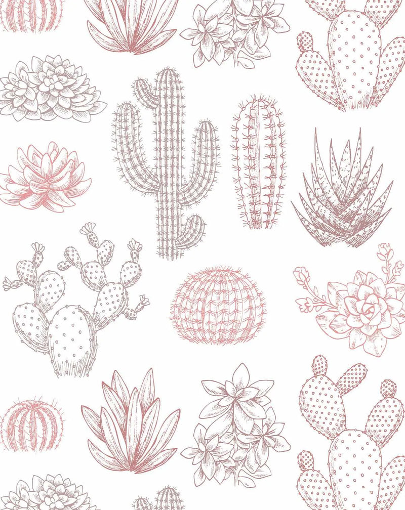 Peel and stick wallpaper featuring a repeating pattern of hand-drawn cactus and succulent illustrations in dusty rose and muted grey-brown on a white background. The botanical design includes various cacti like saguaro, prickly pear, and barrel cactus, along with different succulent varieties and flowering plants, all rendered with fine line work and hatching for texture.