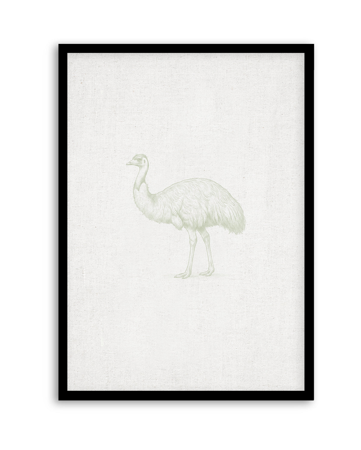 Vintage Emu Australian Animals on Linen | Art Print