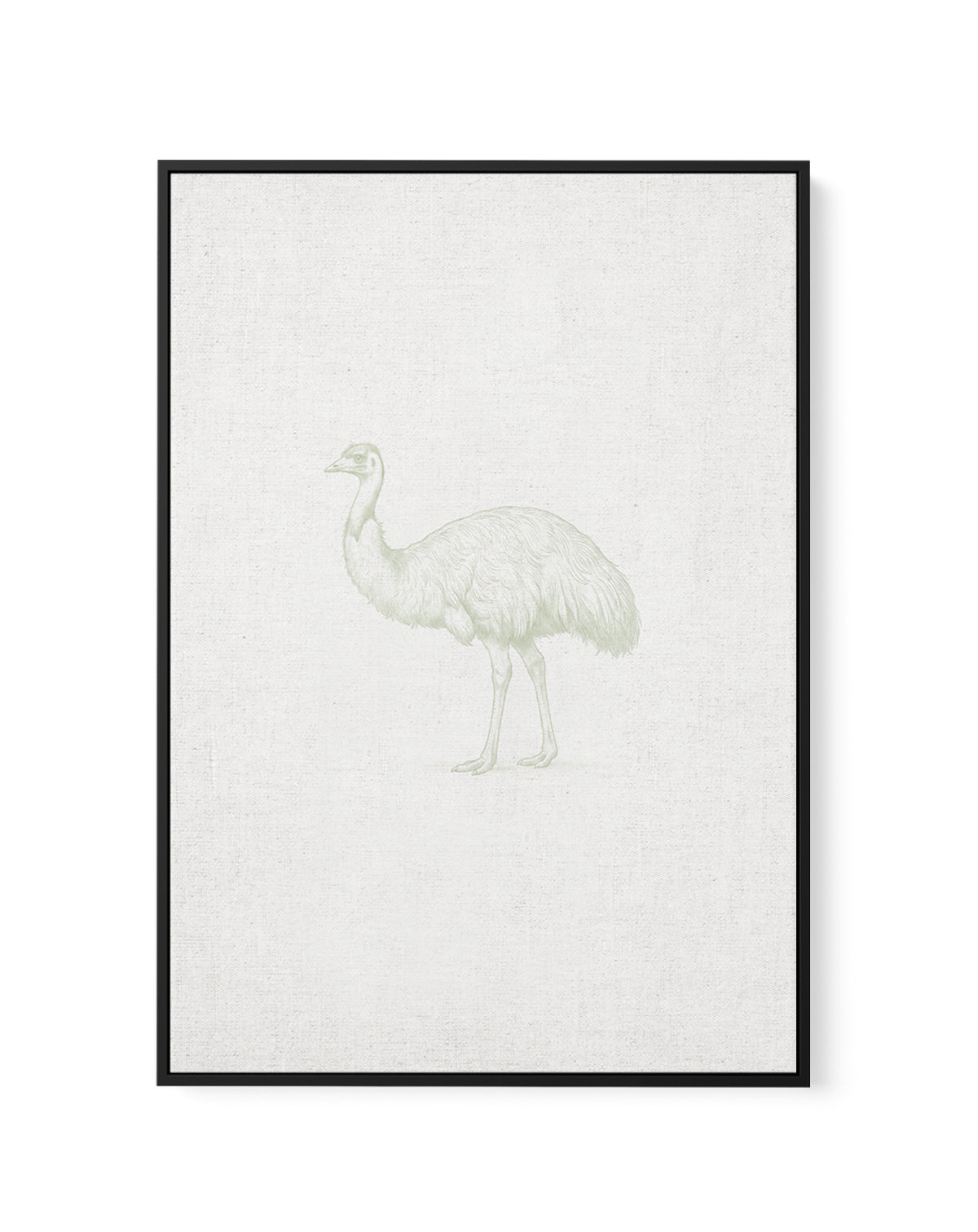 Vintage Emu Australian Animals on Linen | Framed Canvas Art Print