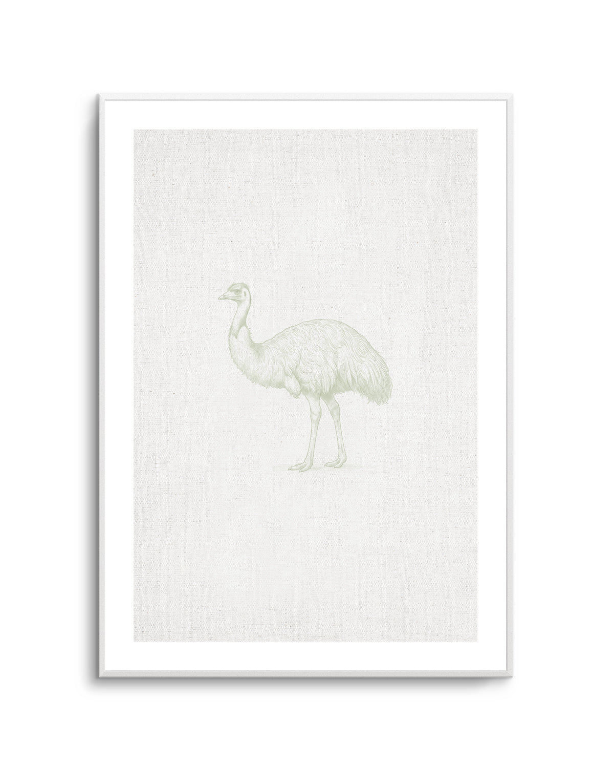 Vintage Emu Australian Animals on Linen | Art Print