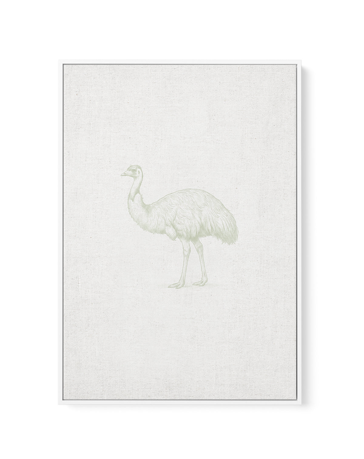 Vintage Emu Australian Animals on Linen | Framed Canvas Art Print