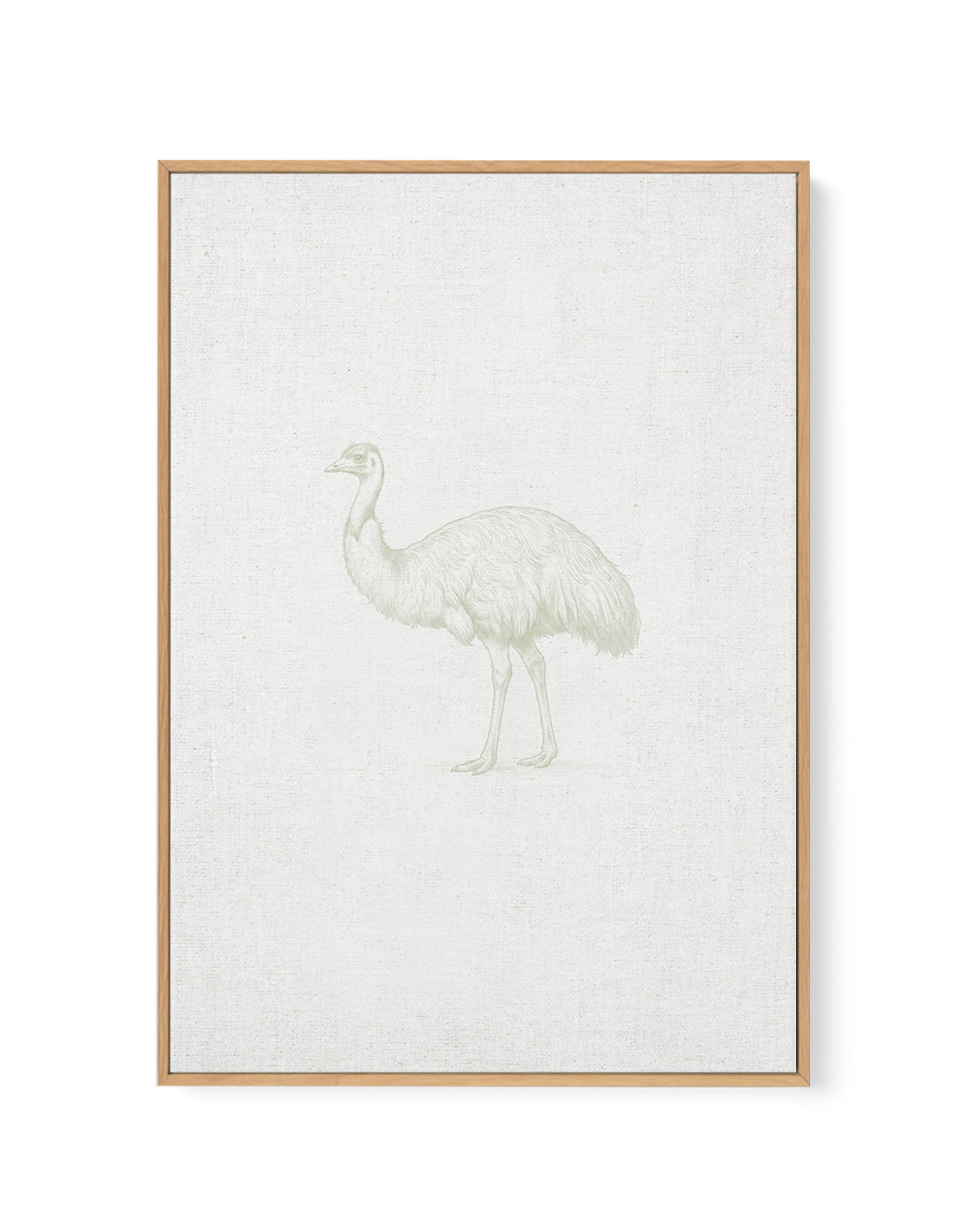 Vintage Emu Australian Animals on Linen | Framed Canvas Art Print