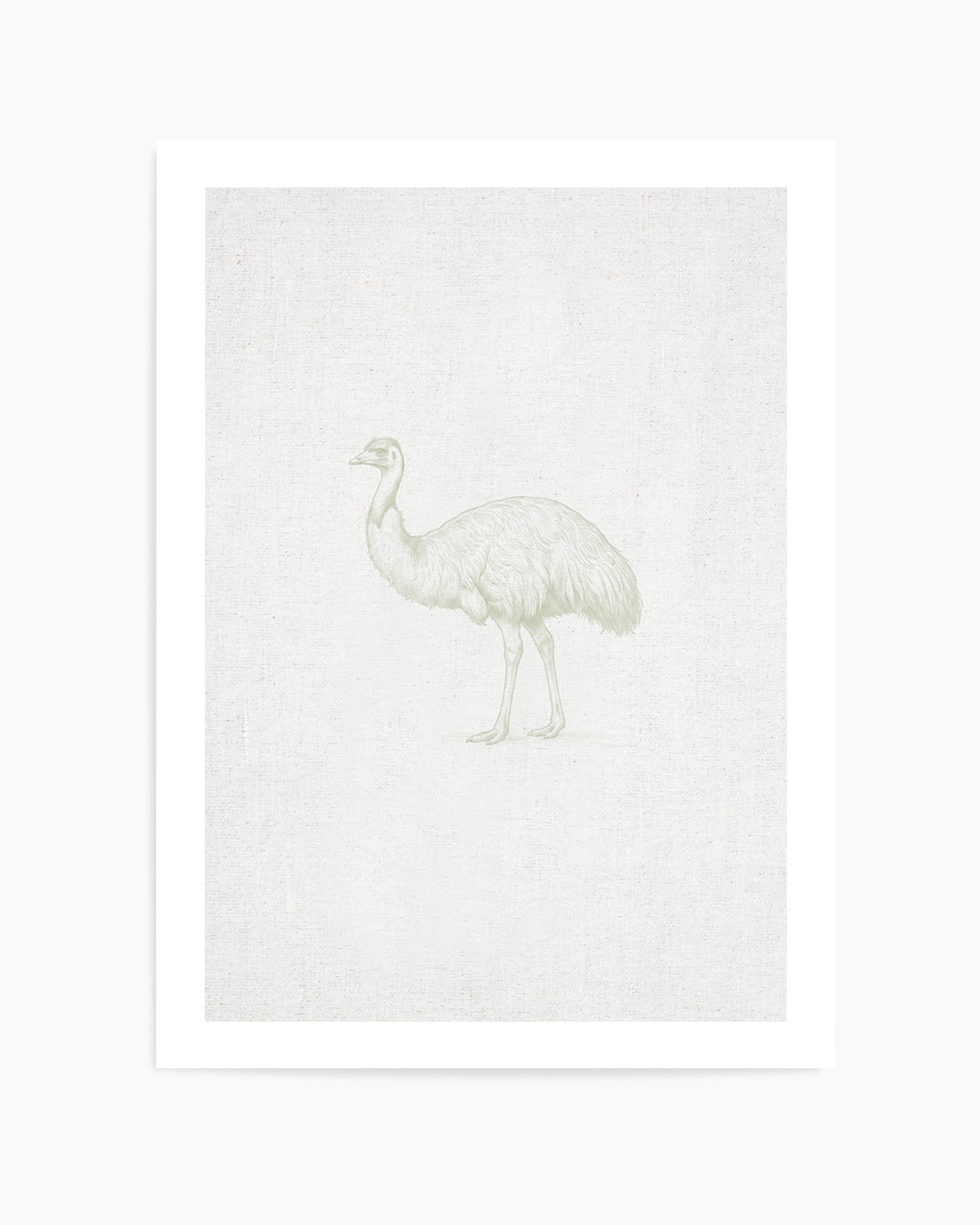 Vintage Emu Australian Animals on Linen | Art Print