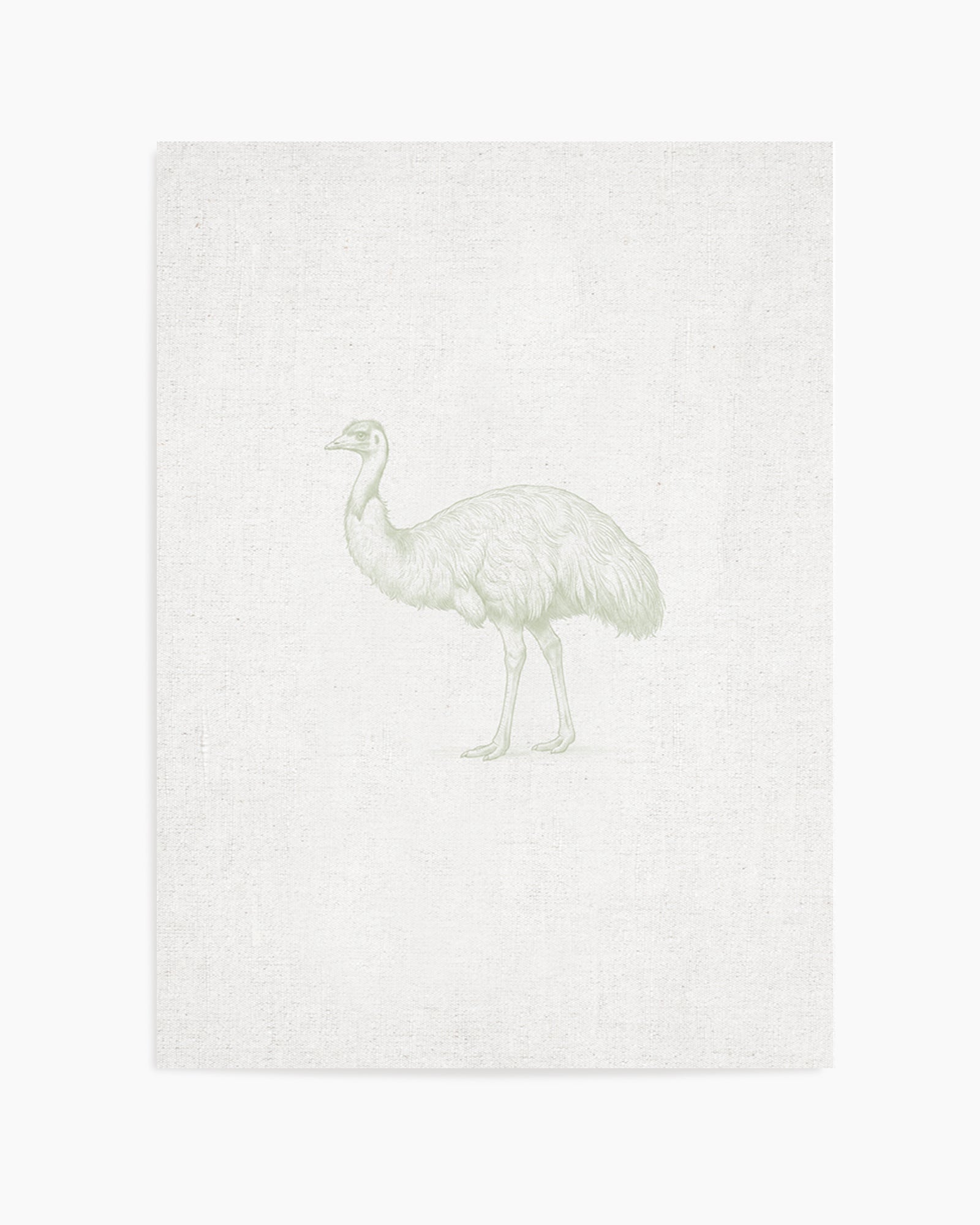 Vintage Emu Australian Animals on Linen | Art Print