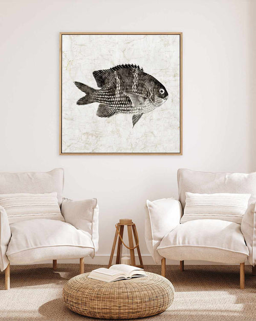 Vintage Fish I | Framed Canvas Art Print