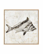Vintage Fish III | Framed Canvas Art Print