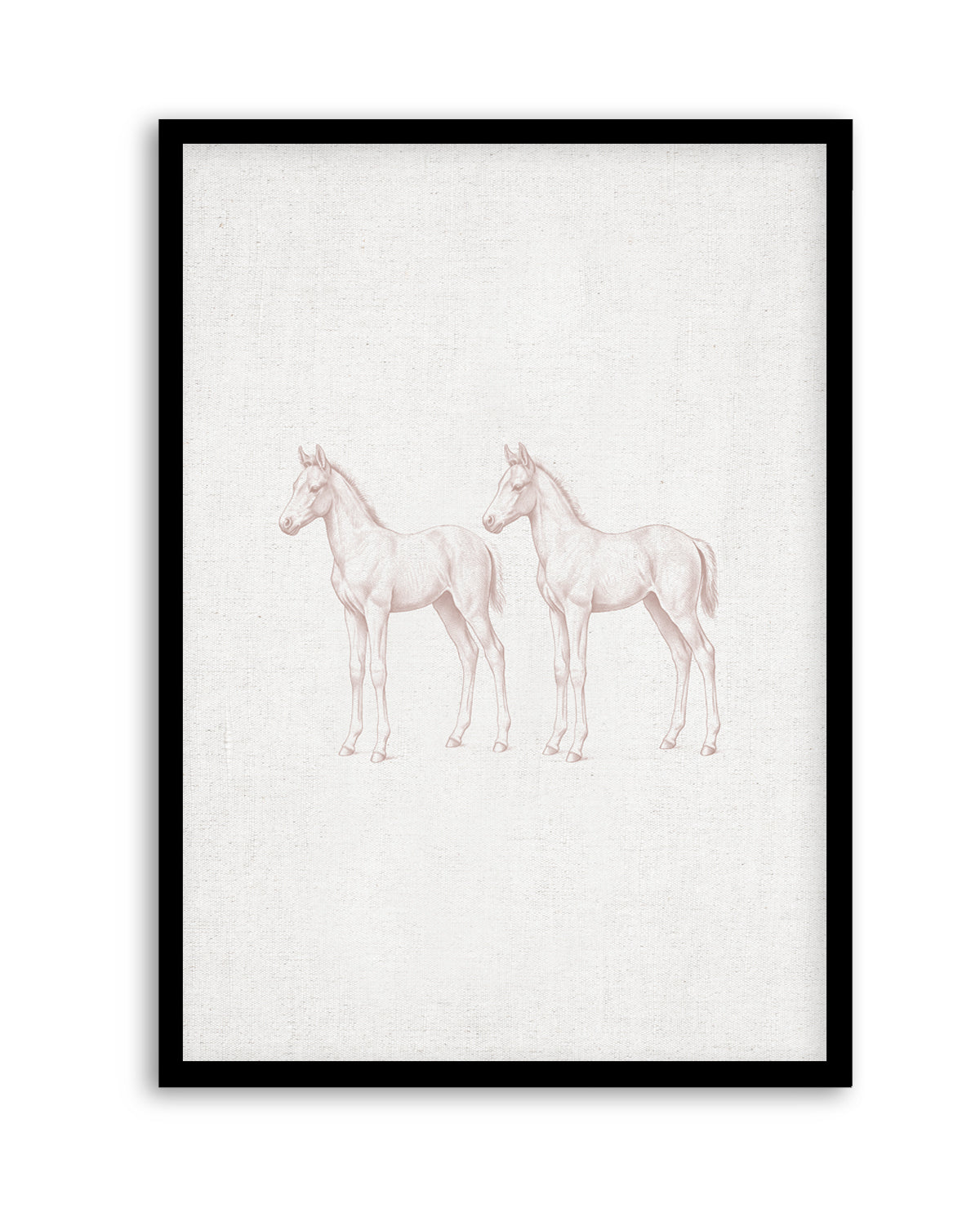 Vintage Foal Farm Animals on Linen | Art Print
