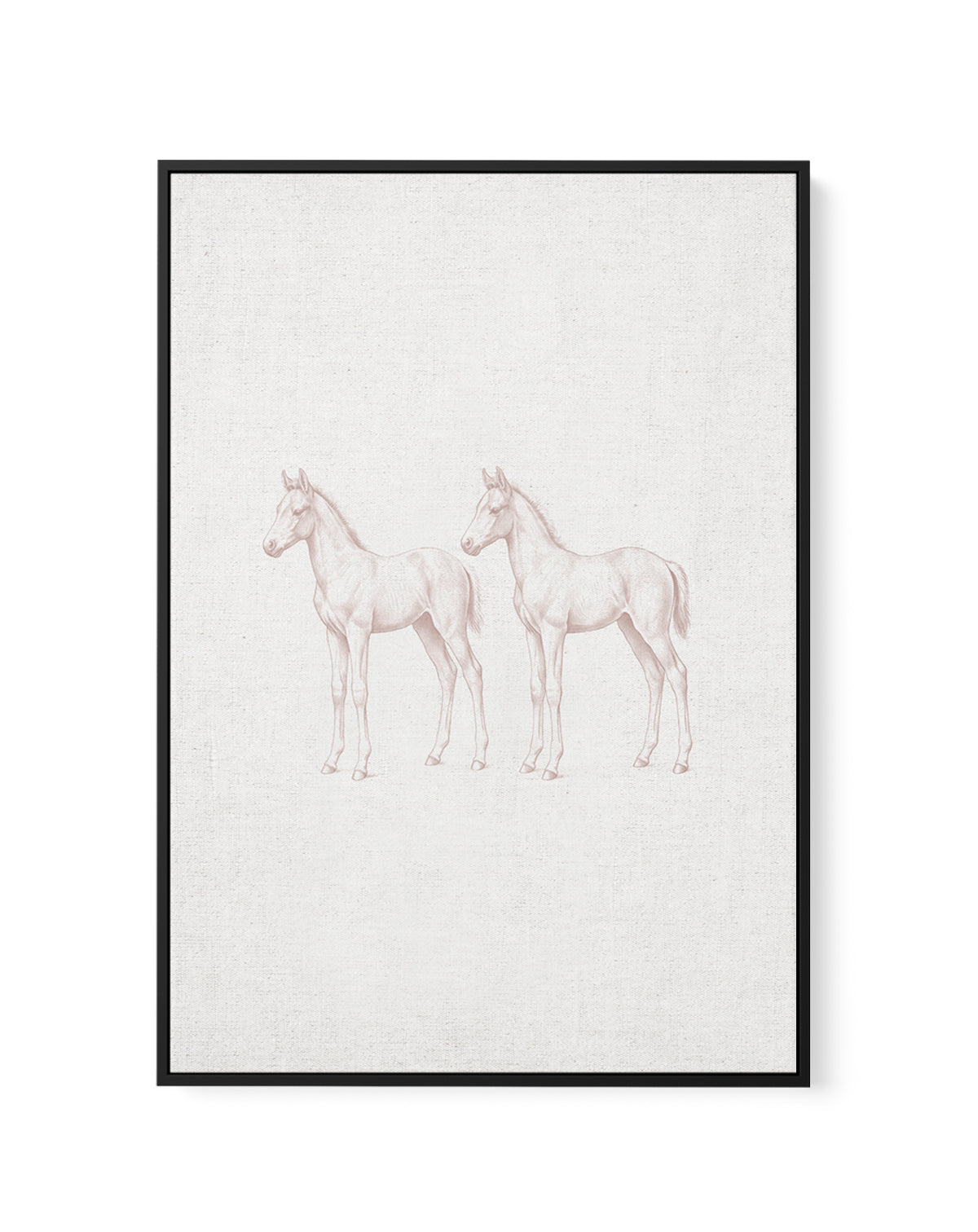 Vintage Foal Farm Animals on Linen | Framed Canvas Art Print