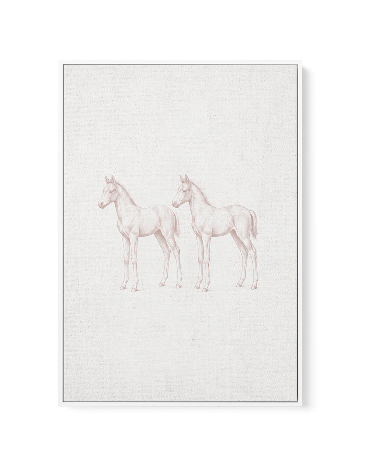 Vintage Foal Farm Animals on Linen | Framed Canvas Art Print
