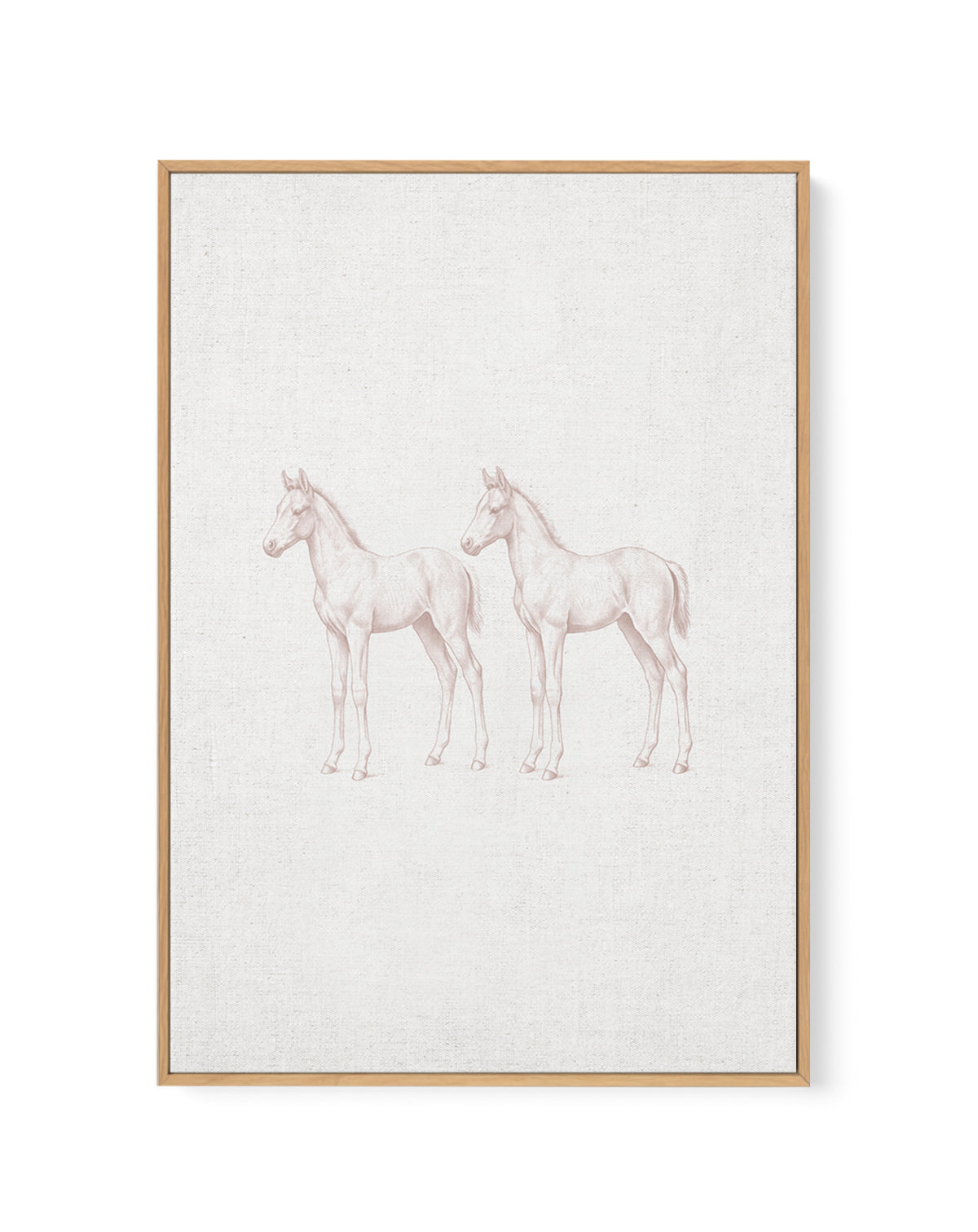 Vintage Foal Farm Animals on Linen | Framed Canvas Art Print
