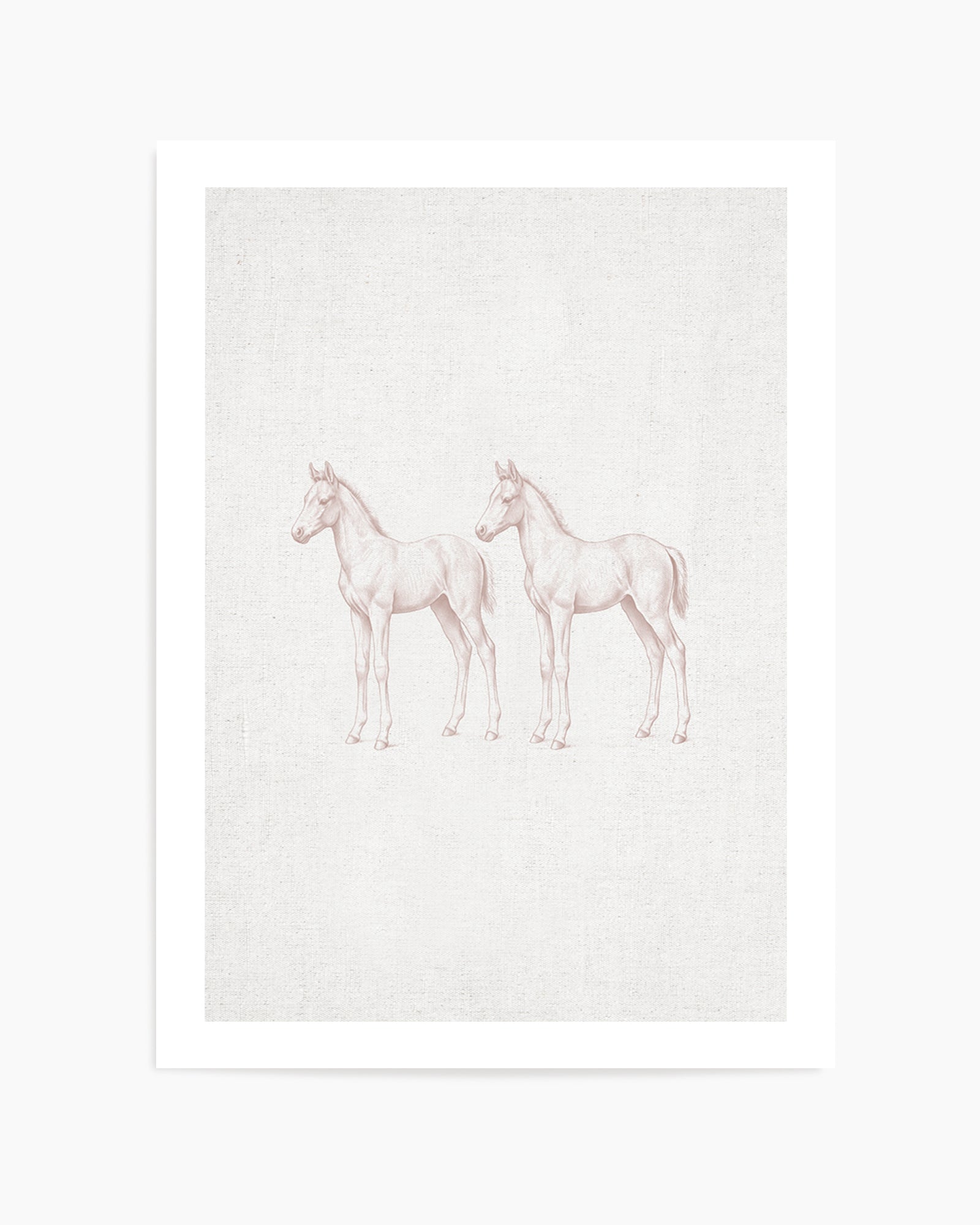 Vintage Foal Farm Animals on Linen | Art Print