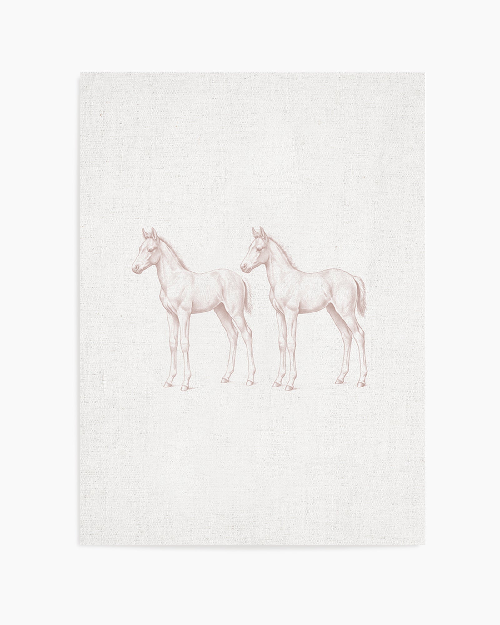 Vintage Foal Farm Animals on Linen | Art Print