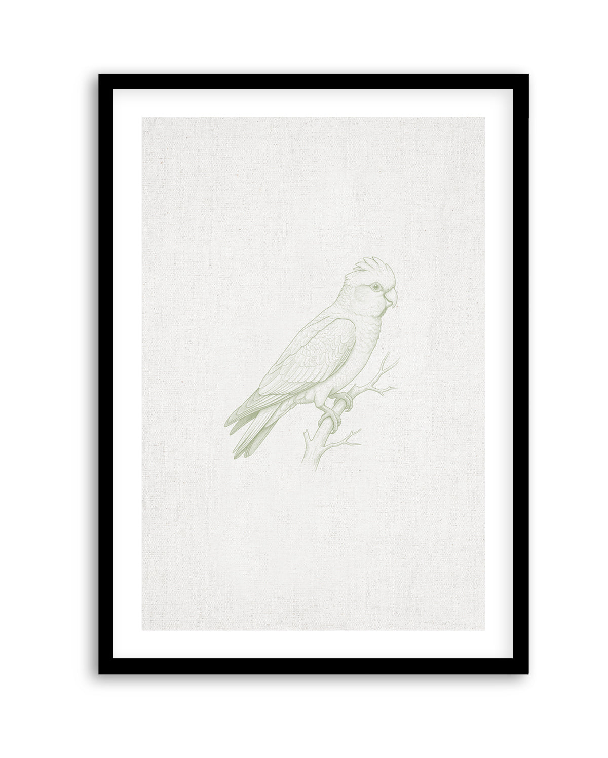 Vintage Galah Australian Animals on Linen | Art Print