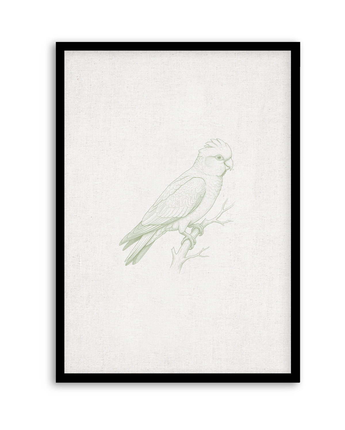 Vintage Galah Australian Animals on Linen | Art Print