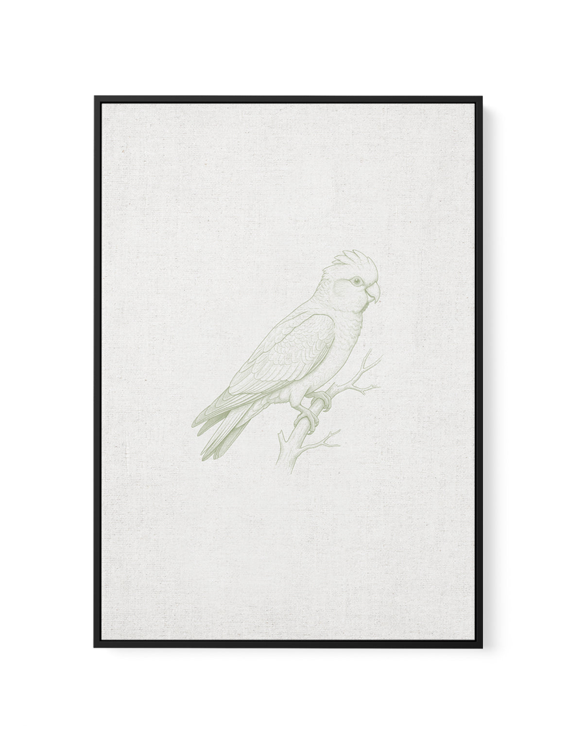 Vintage Galah Australian Animals on Linen | Framed Canvas Art Print