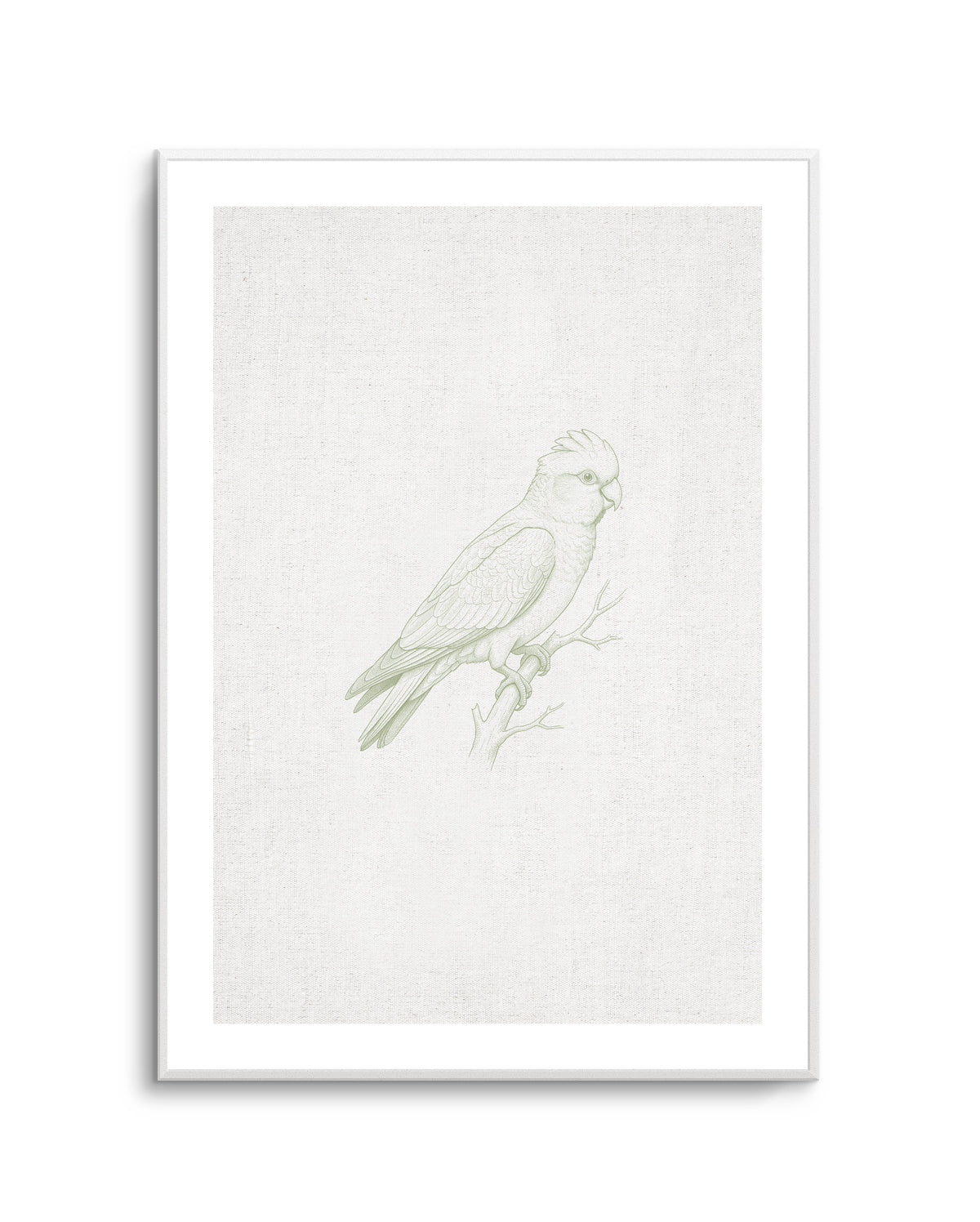 Vintage Galah Australian Animals on Linen | Art Print