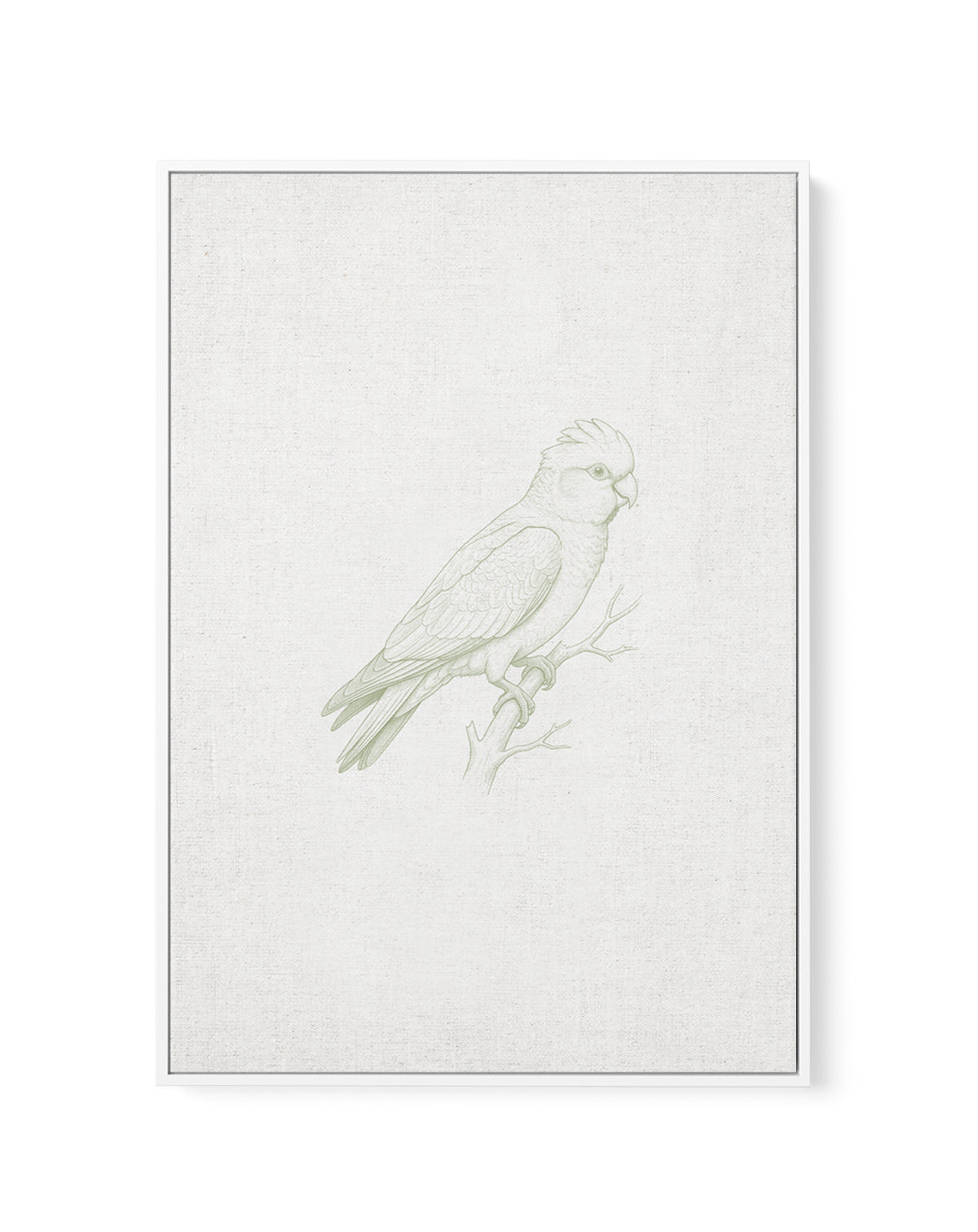 Vintage Galah Australian Animals on Linen | Framed Canvas Art Print