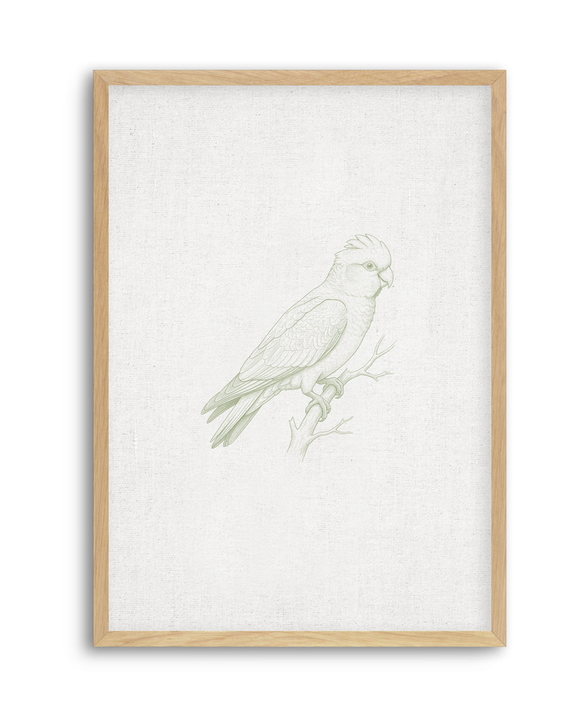 Vintage Galah Australian Animals on Linen | Art Print