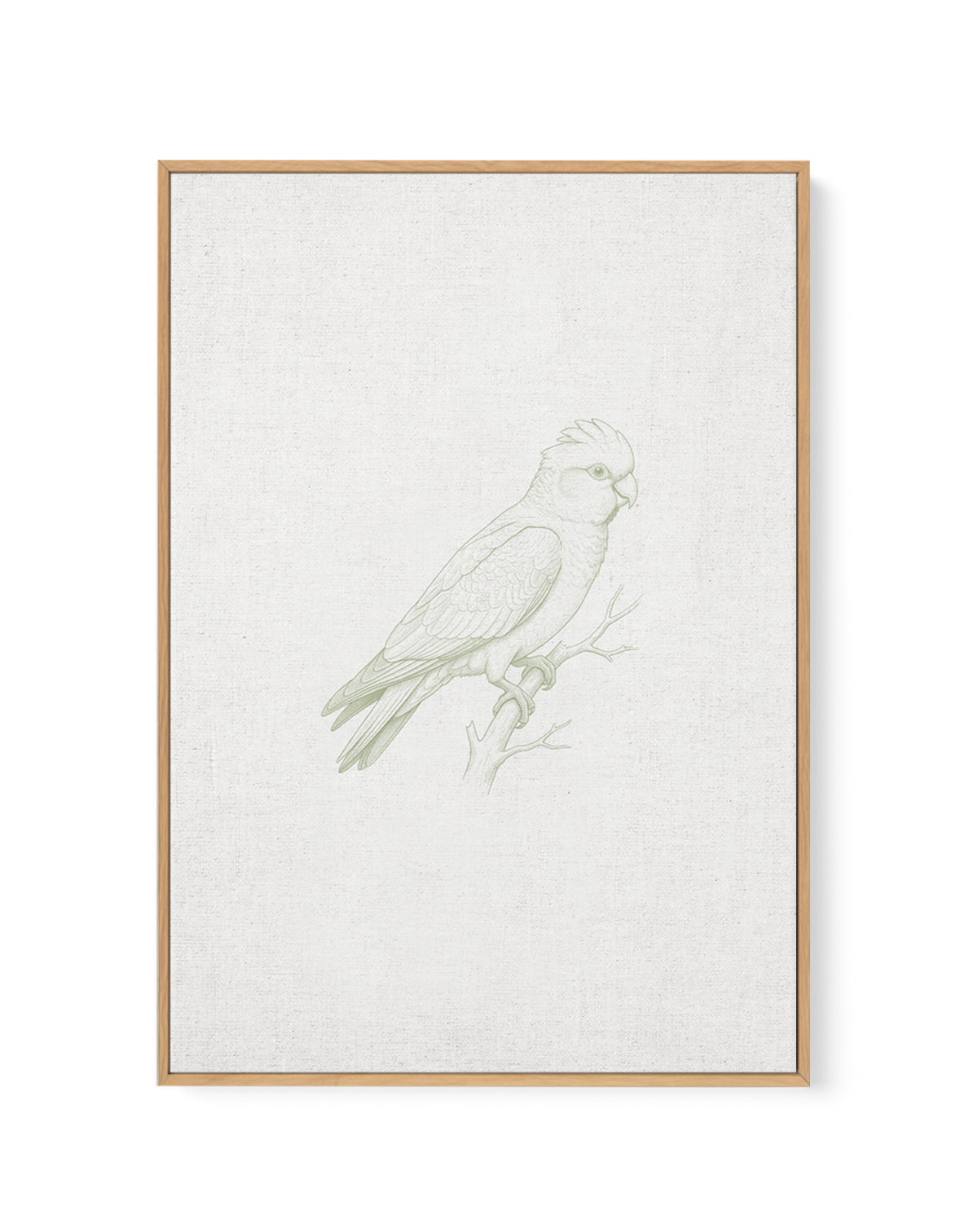 Vintage Galah Australian Animals on Linen | Framed Canvas Art Print