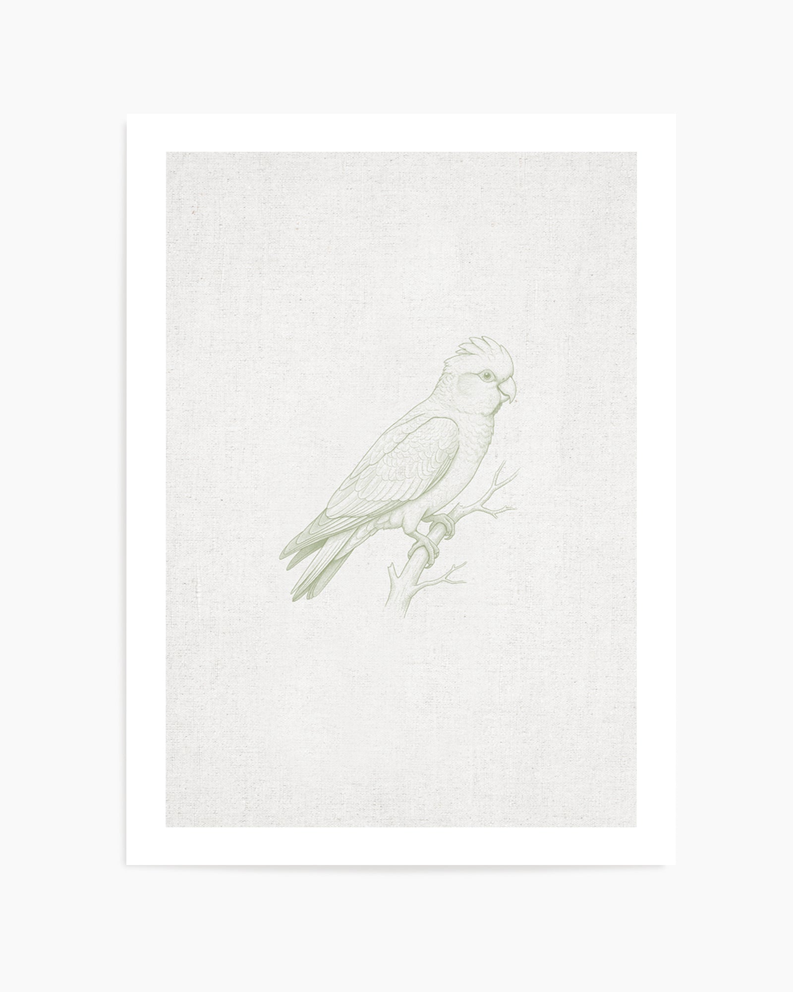 Vintage Galah Australian Animals on Linen | Art Print
