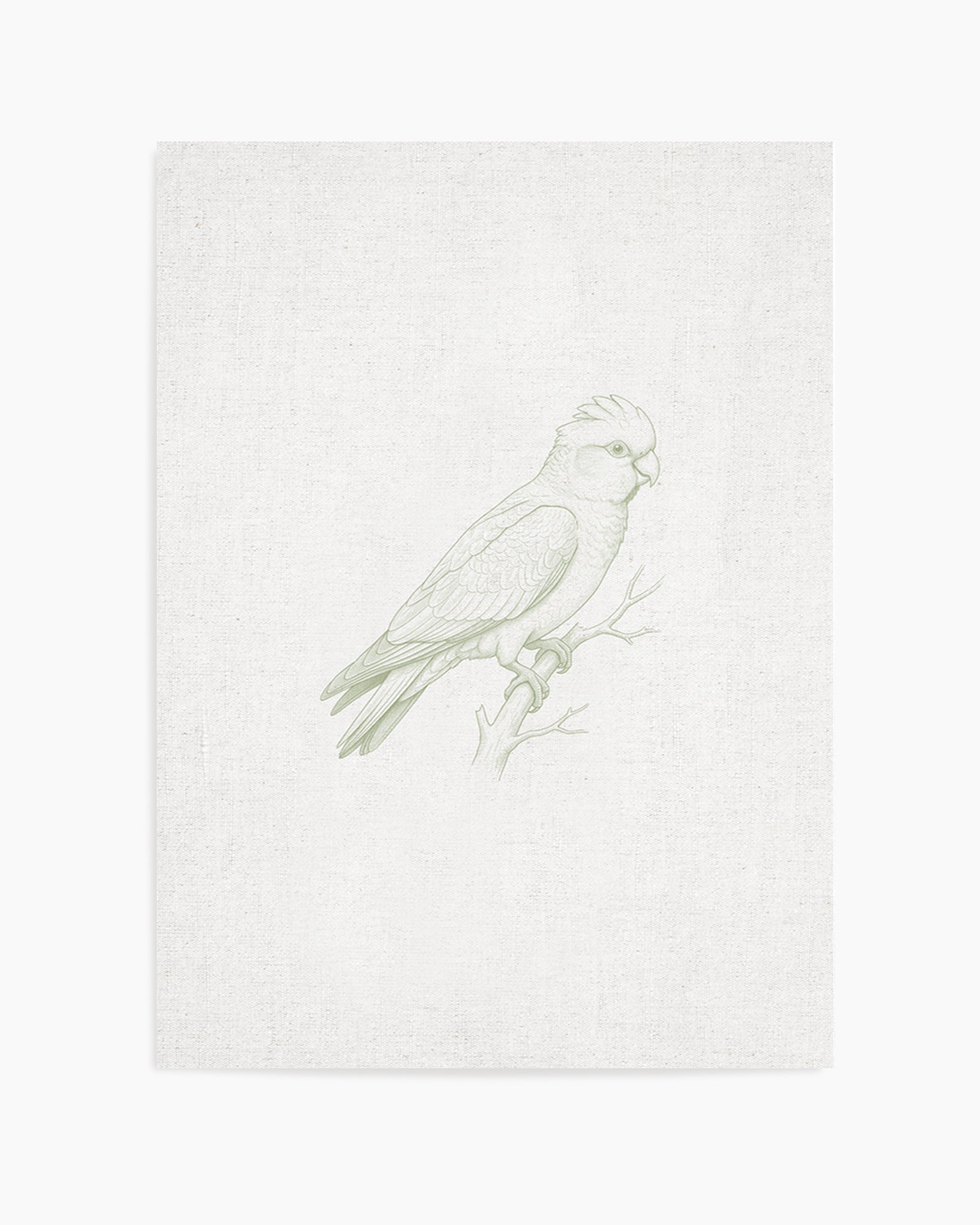 Vintage Galah Australian Animals on Linen | Art Print