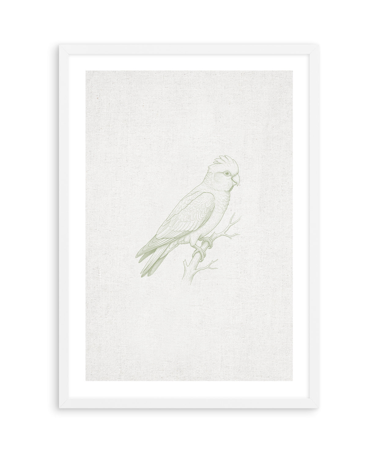 Vintage Galah Australian Animals on Linen | Art Print