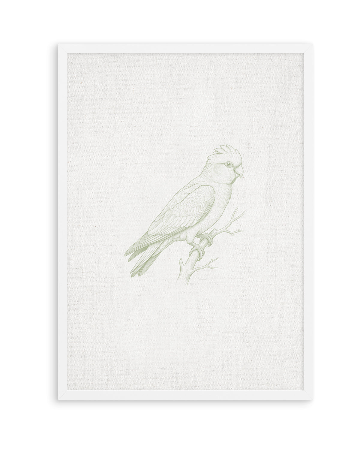 Vintage Galah Australian Animals on Linen | Art Print