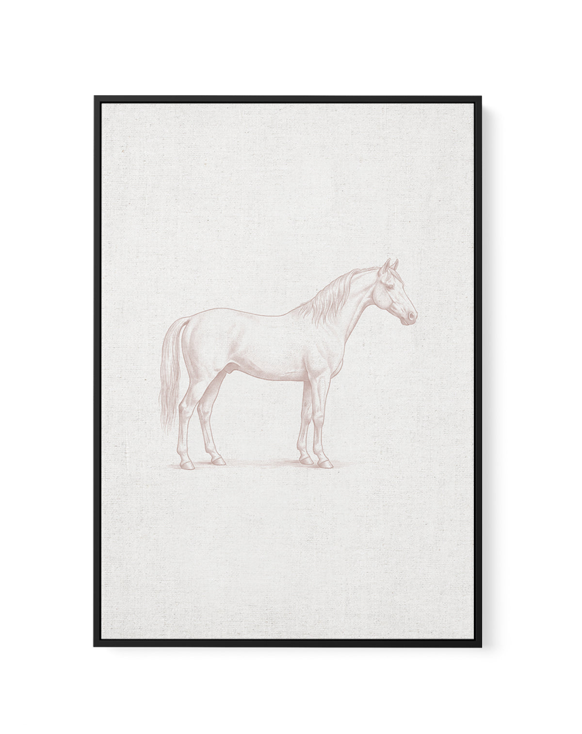 Vintage Horse Farm Animal on Linen | Framed Canvas Art Print