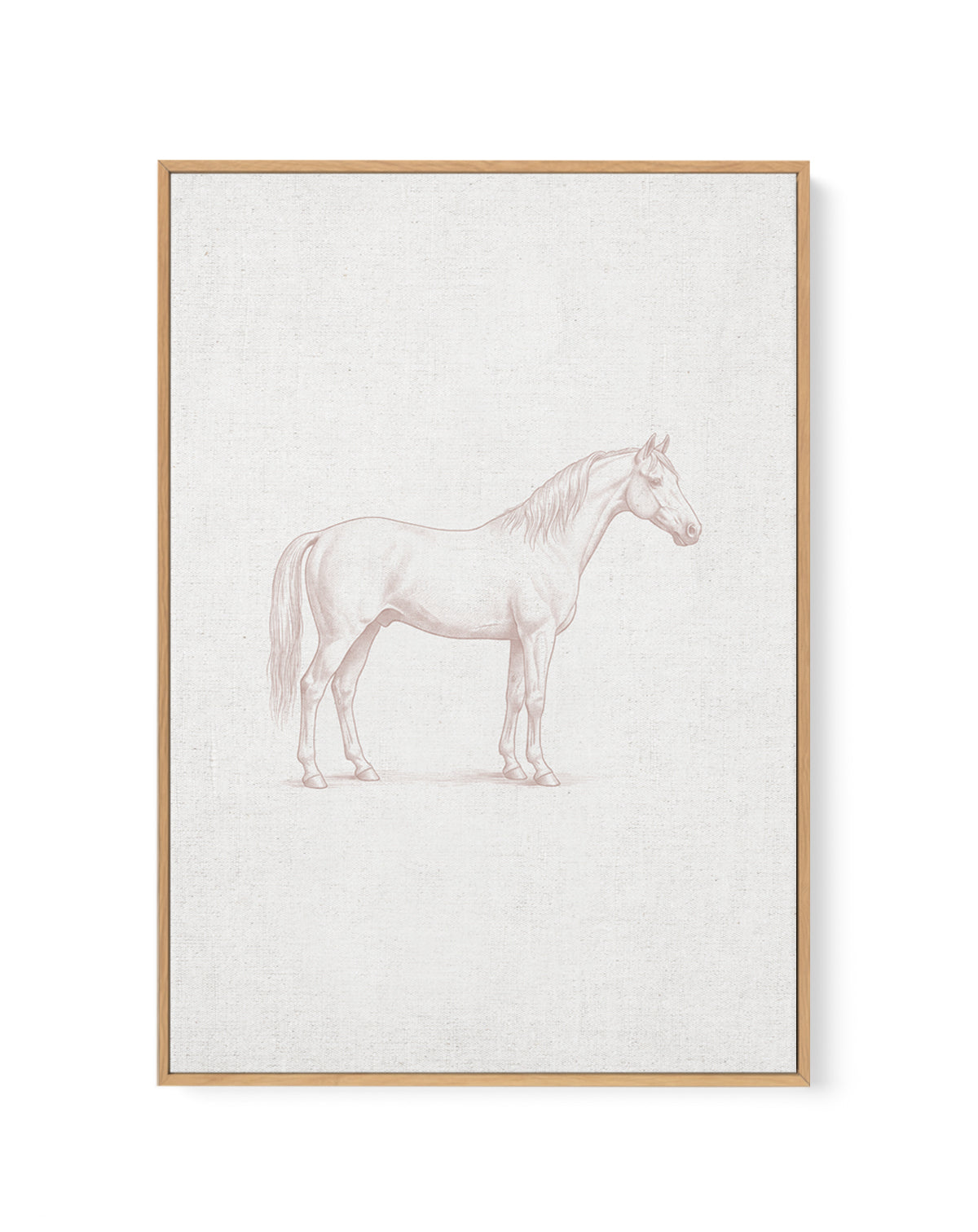 Vintage Horse Farm Animal on Linen | Framed Canvas Art Print