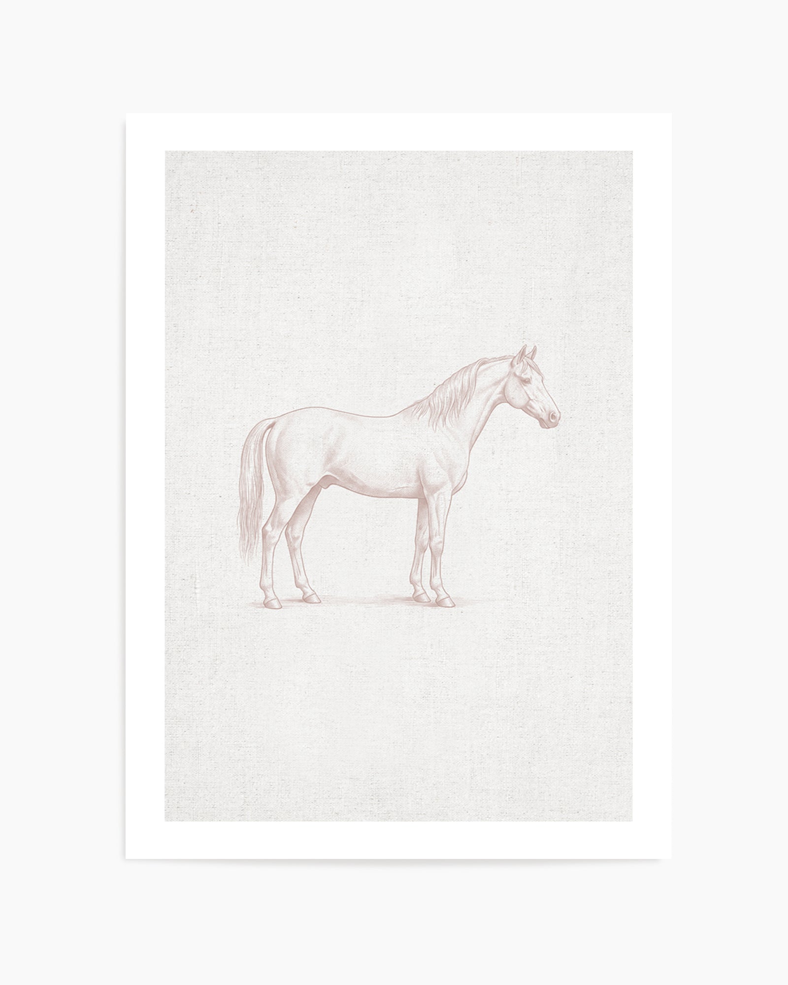 Vintage Horse Farm Animal on Linen | Art Print
