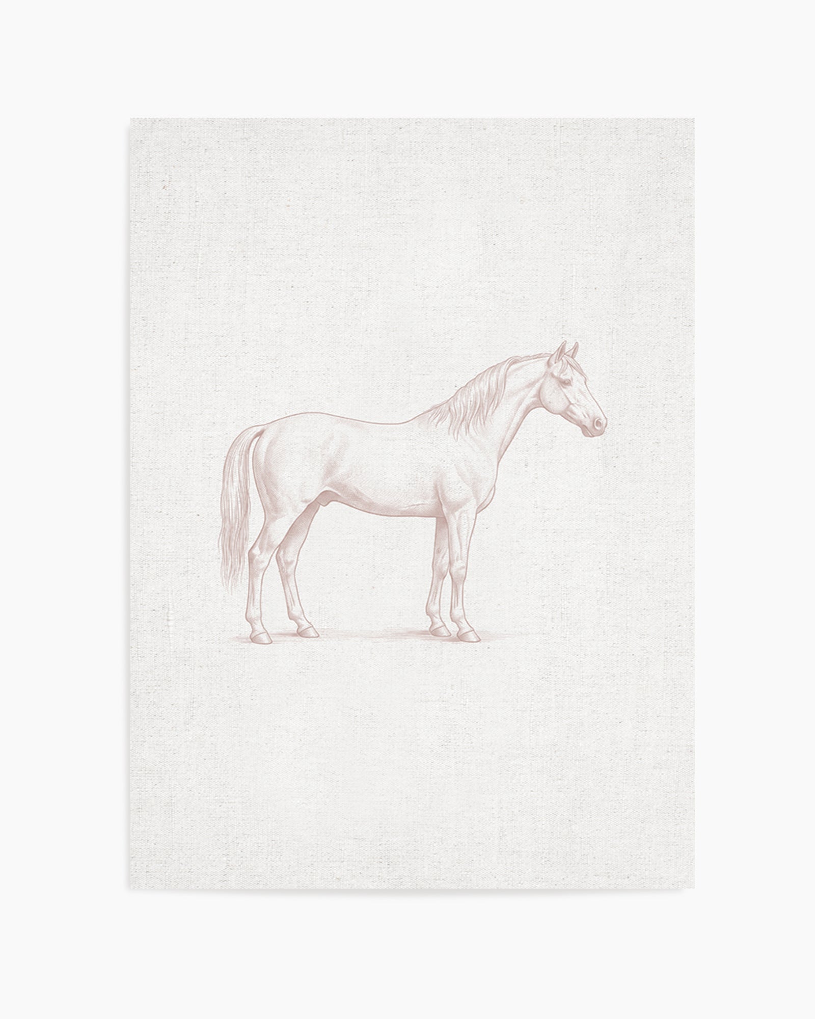 Vintage Horse Farm Animal on Linen | Art Print