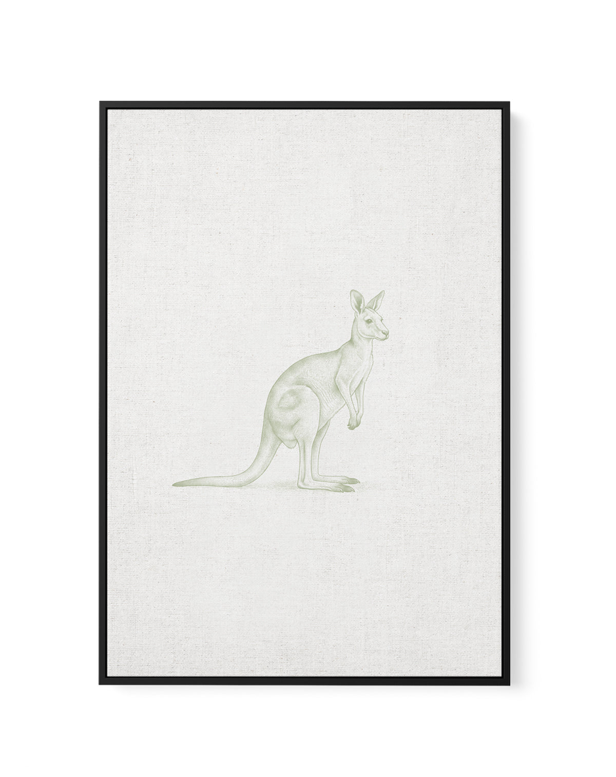 Vintage Kangaroo Australian Animals on Linen | Framed Canvas Art Print