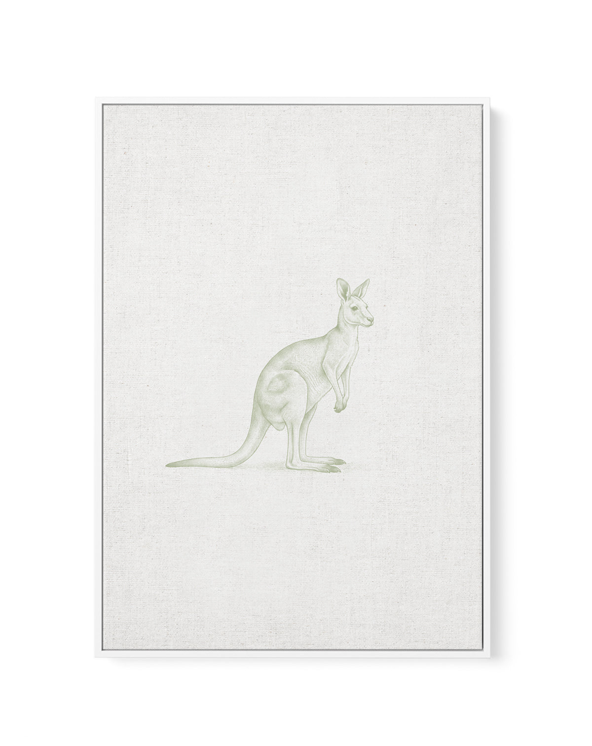 Vintage Kangaroo Australian Animals on Linen | Framed Canvas Art Print