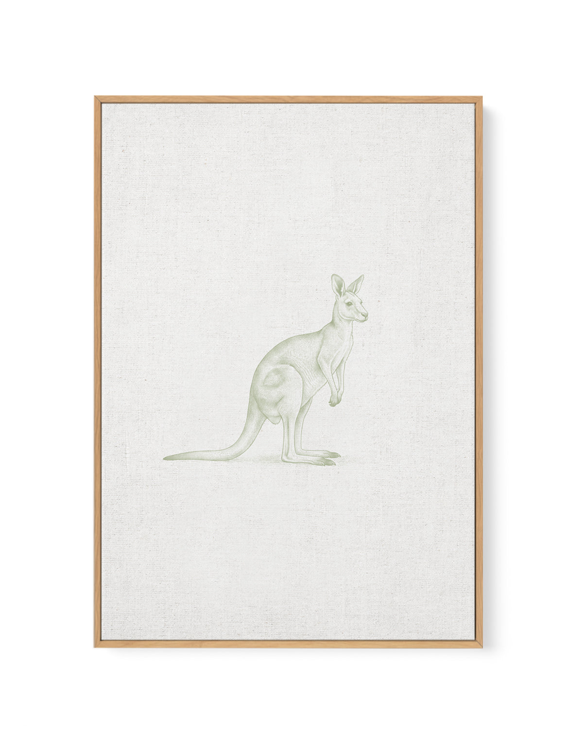 Vintage Kangaroo Australian Animals on Linen | Framed Canvas Art Print