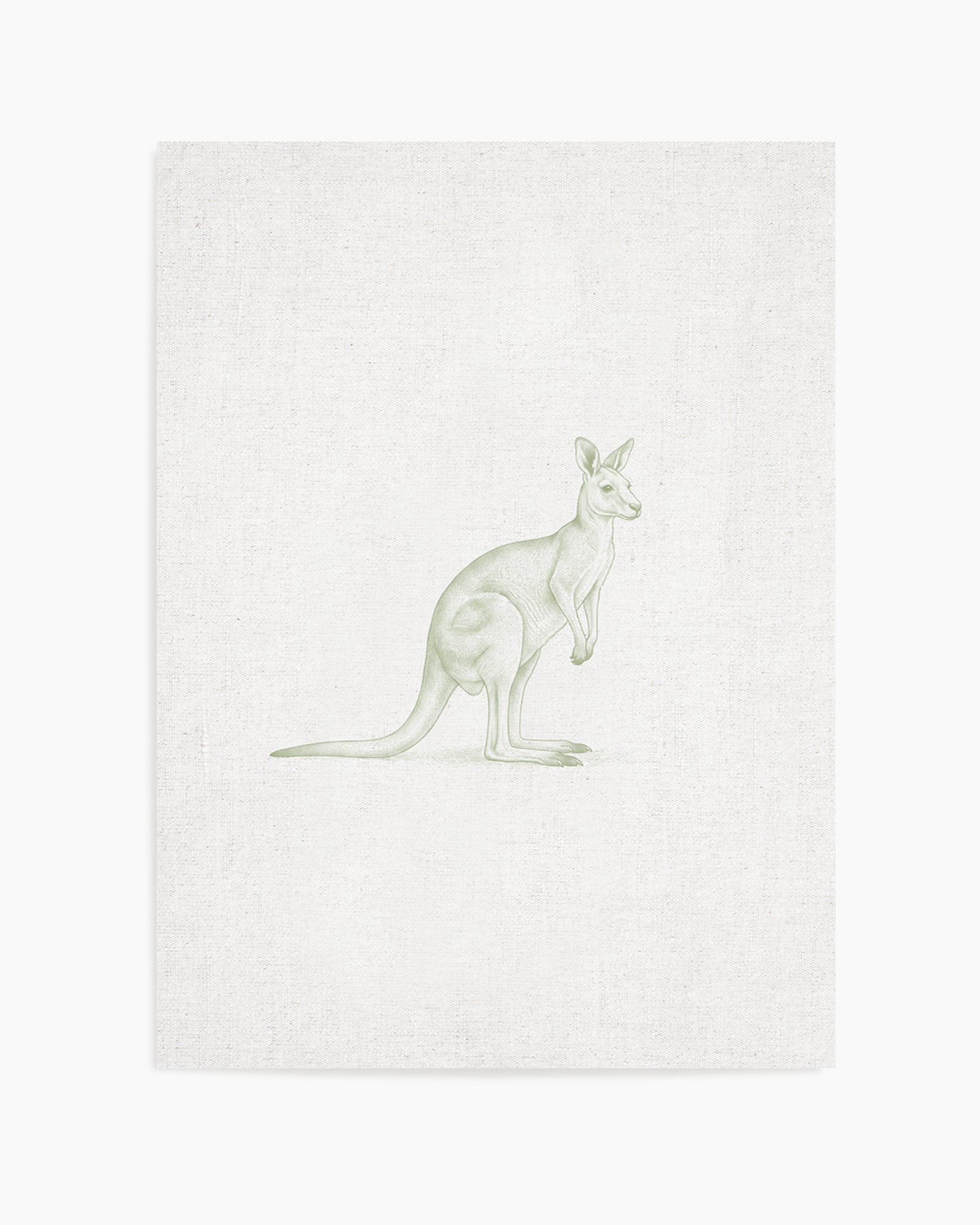 Vintage Kangaroo Australian Animals on Linen | Art Print