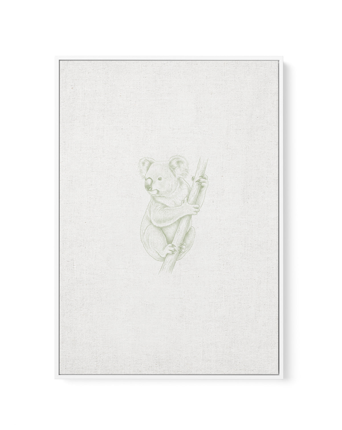 Vintage Koala Australian Animals on Linen | Framed Canvas Art Print