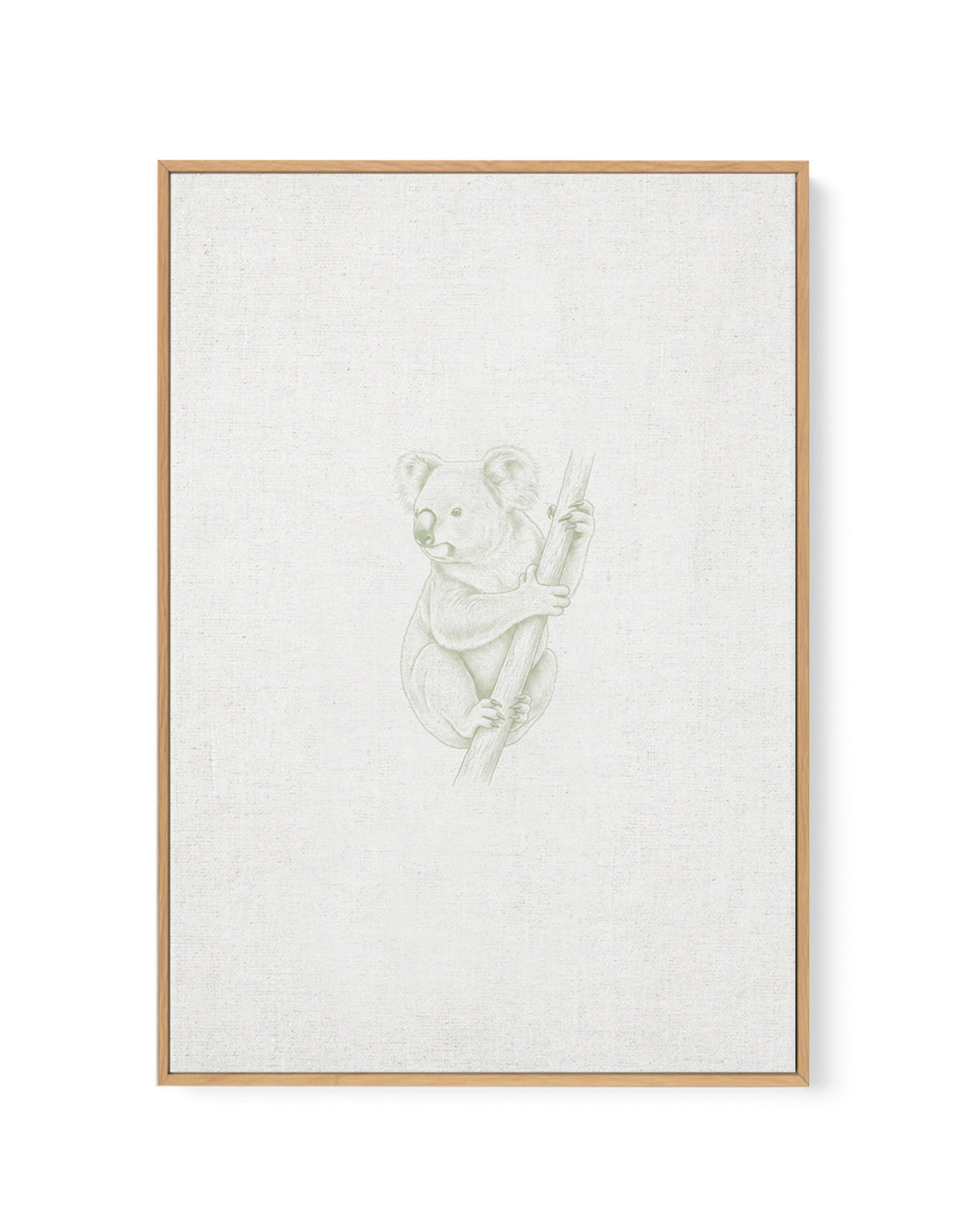 Vintage Koala Australian Animals on Linen | Framed Canvas Art Print