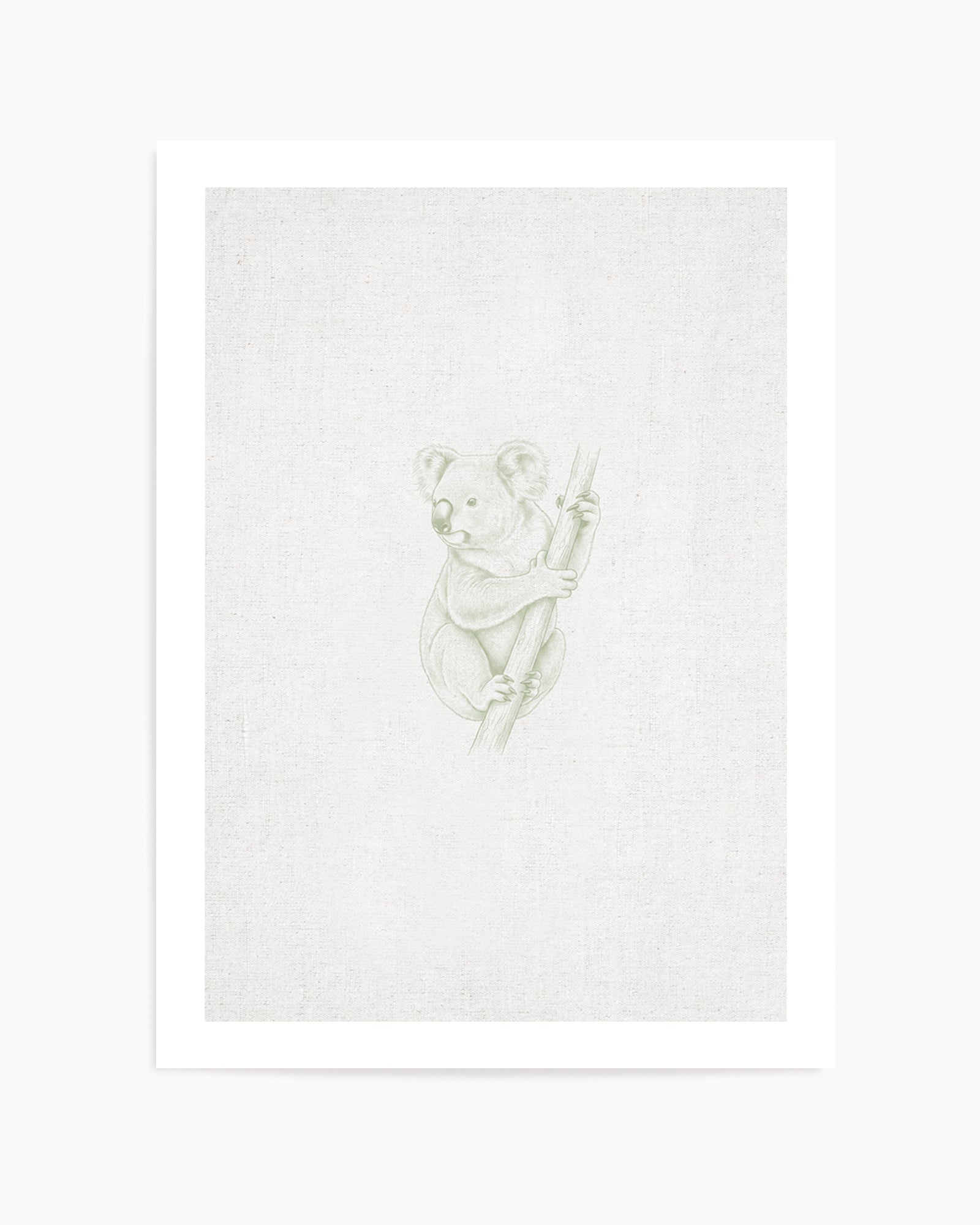 Vintage Koala Australian Animals on Linen | Art Print