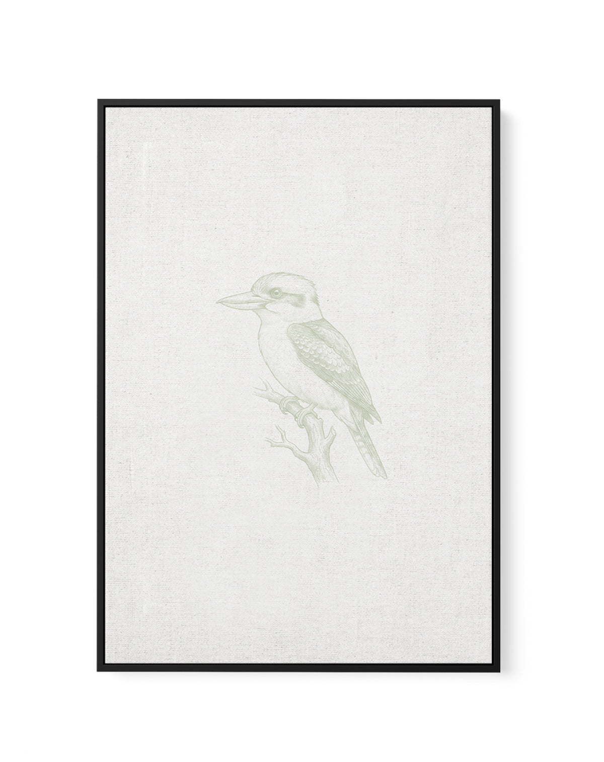 Vintage Kookaburra Australian Animals on Linen | Framed Canvas Art Print