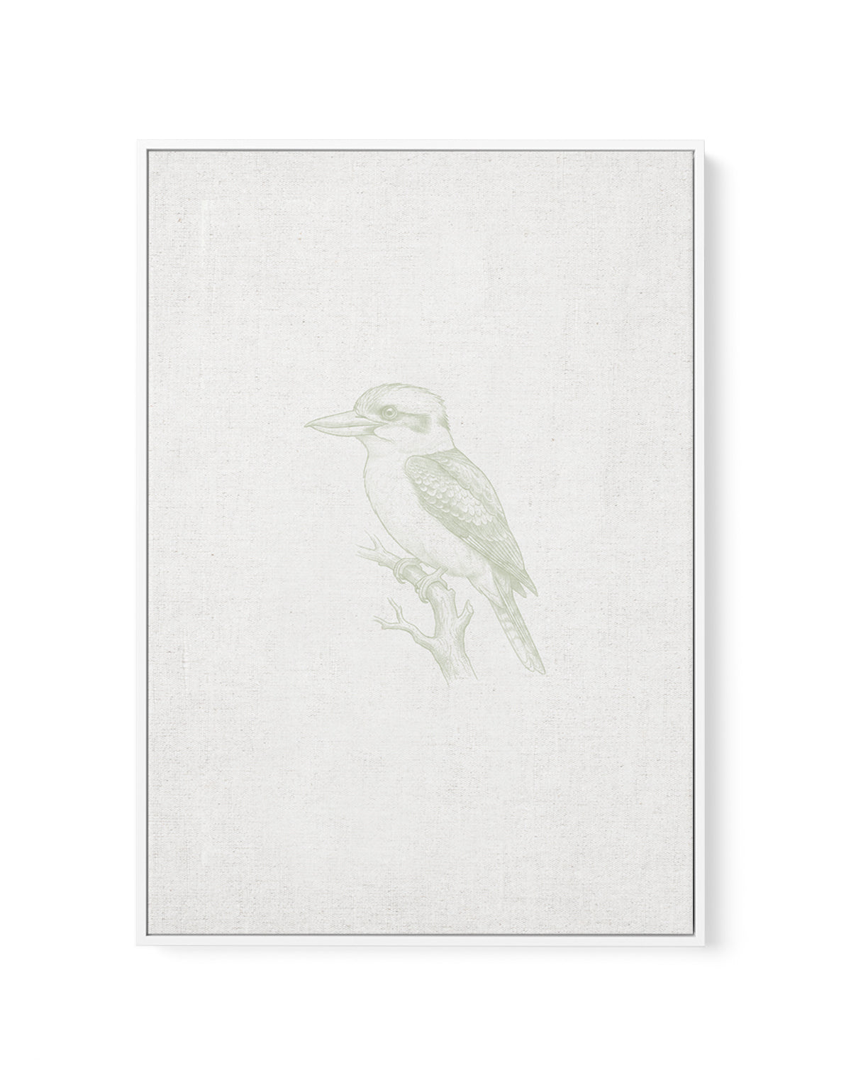 Vintage Kookaburra Australian Animals on Linen | Framed Canvas Art Print