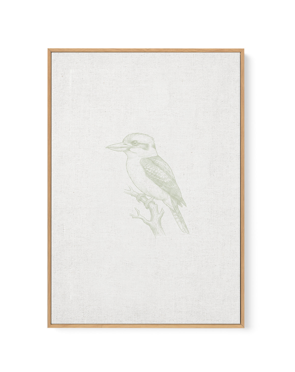 Vintage Kookaburra Australian Animals on Linen | Framed Canvas Art Print