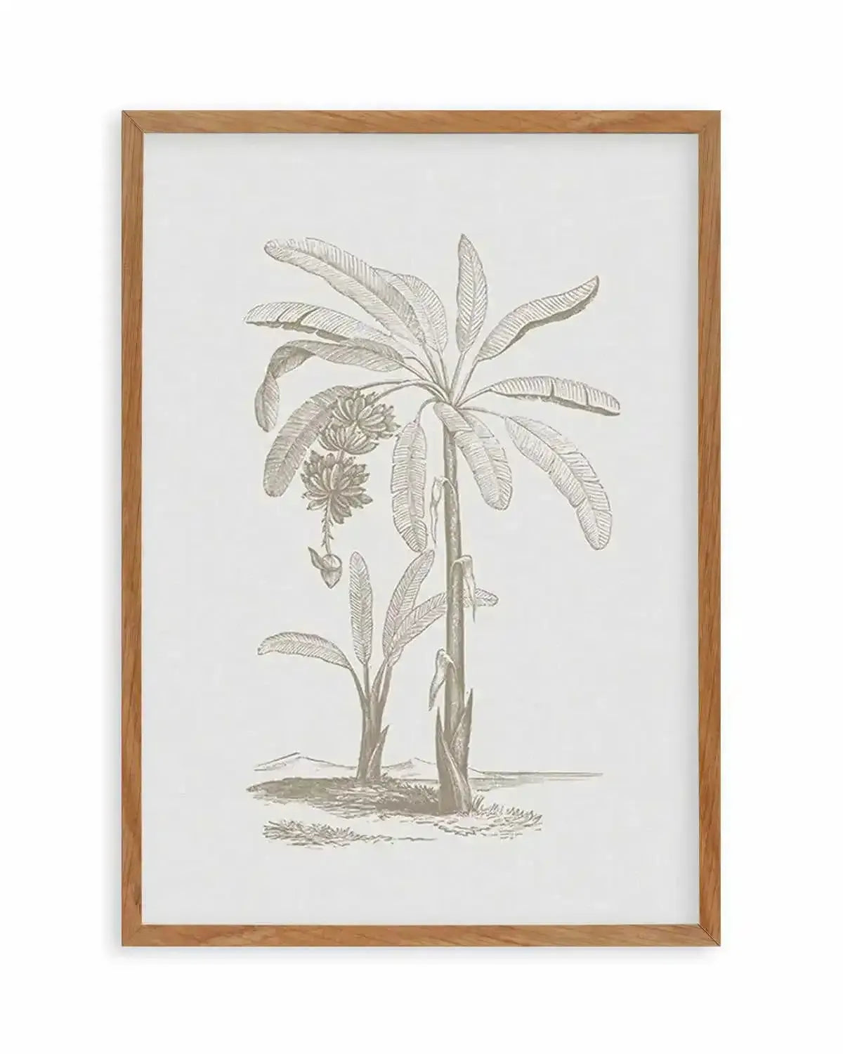 Vintage Palm I Art Print from Olive et Oriel where you can shop wallpaper and artworks online